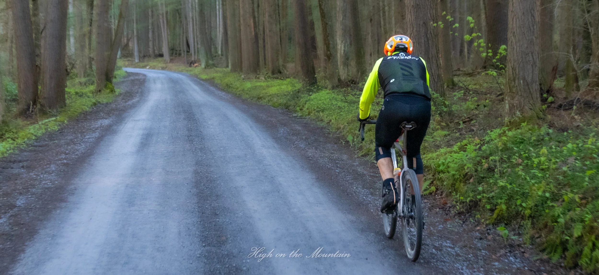 A cyclist wearing a helmet and neon yellow and black cycling gear rides a mountain bike along a dirt forest trail surrounded by green foliage and tall trees.