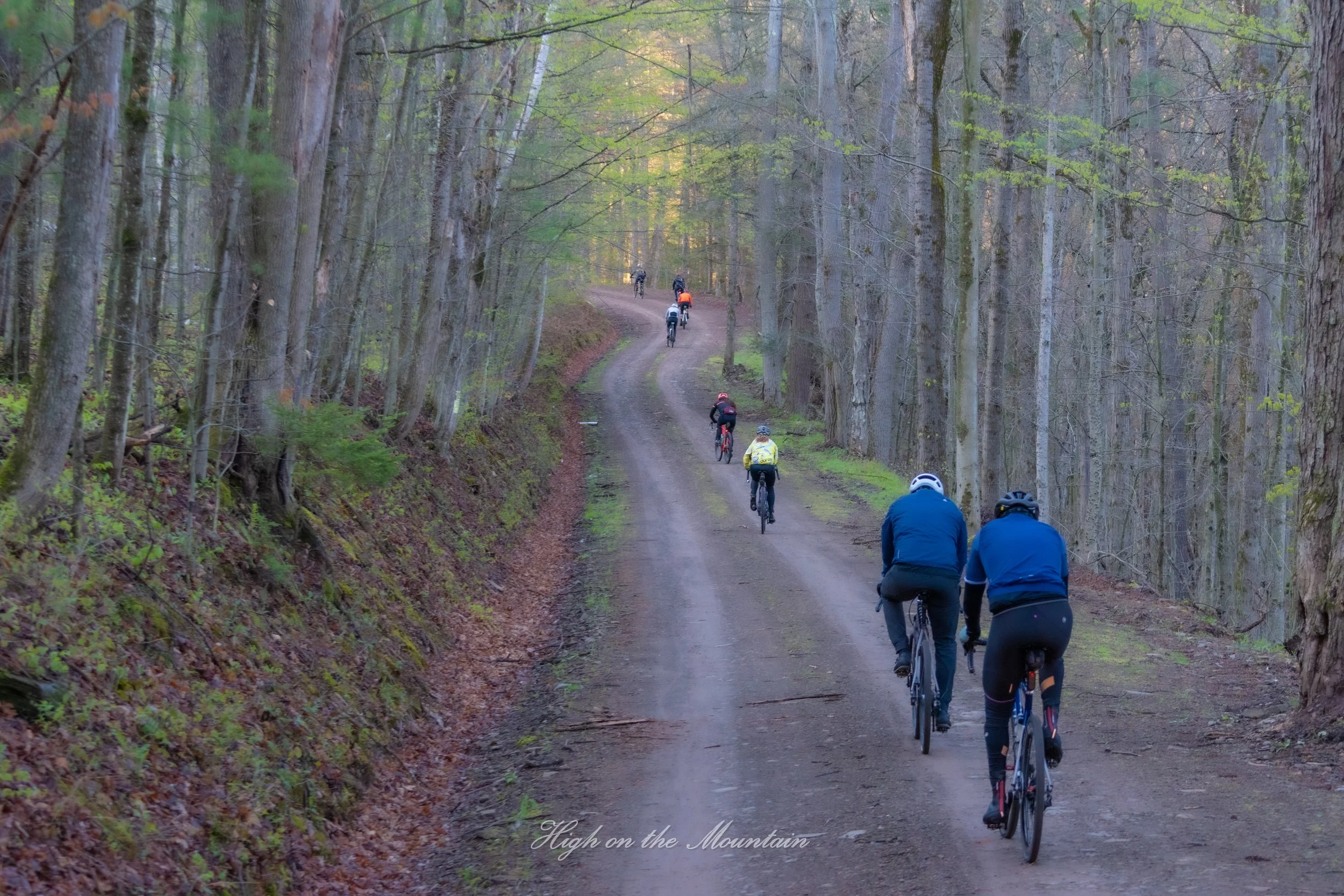 Group of cyclists riding on a winding dirt trail through a forested mountain area during daylight, with trees and dappled sunlight.
