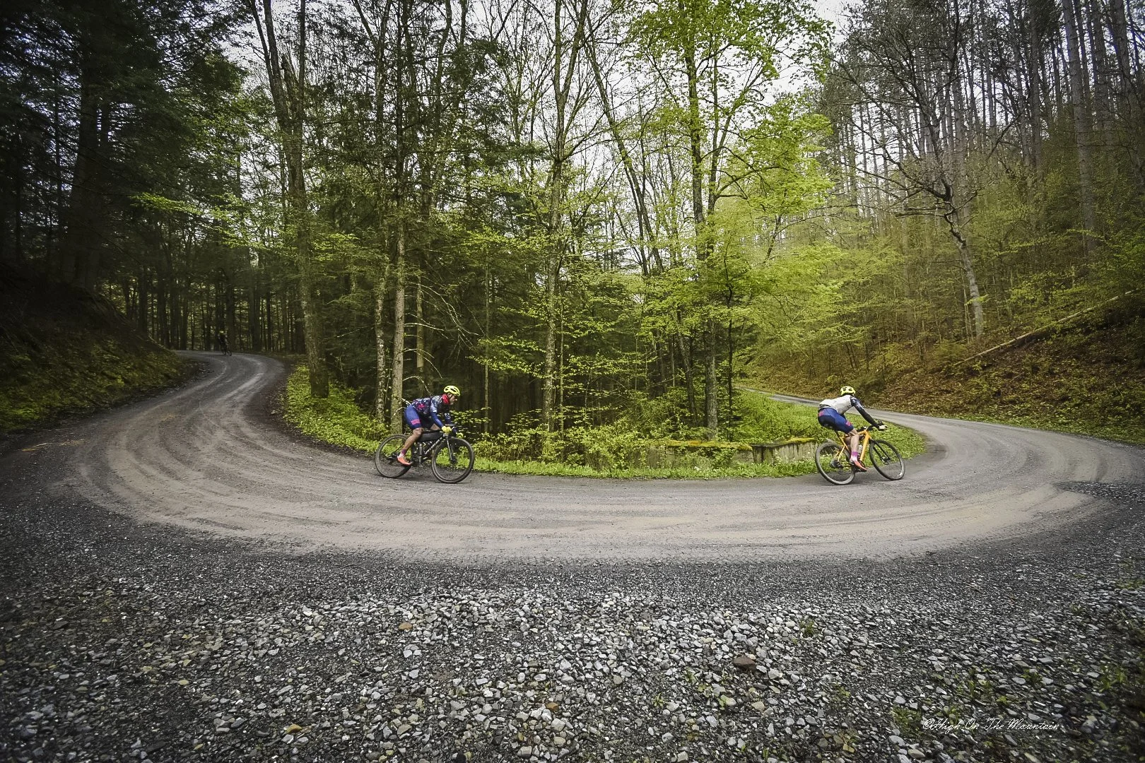 Two cyclists riding on a winding dirt road through a lush green forest, with tall trees and dense foliage surrounding them.