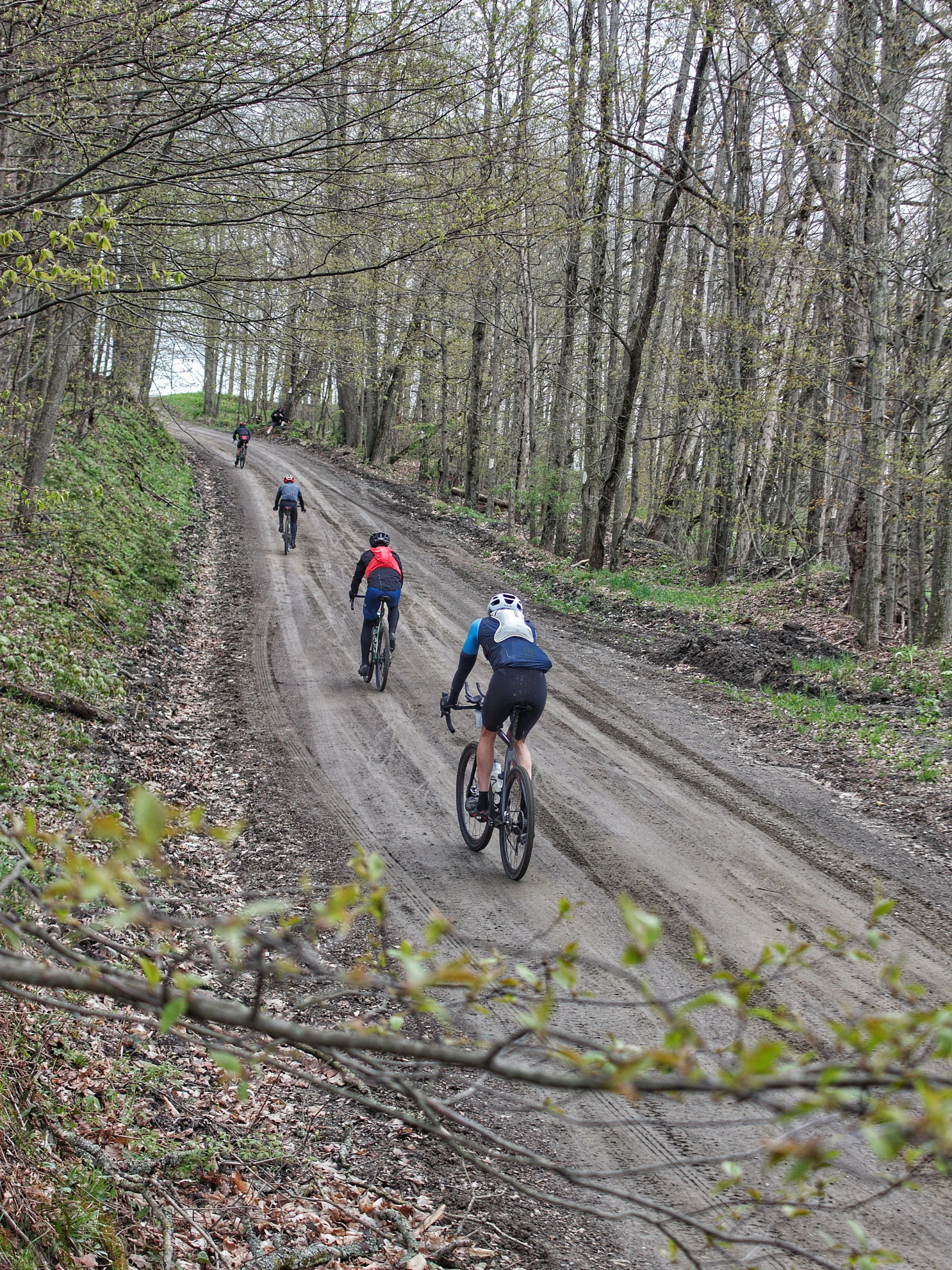 Group of cyclists riding up a dirt trail through a forest with trees on both sides.