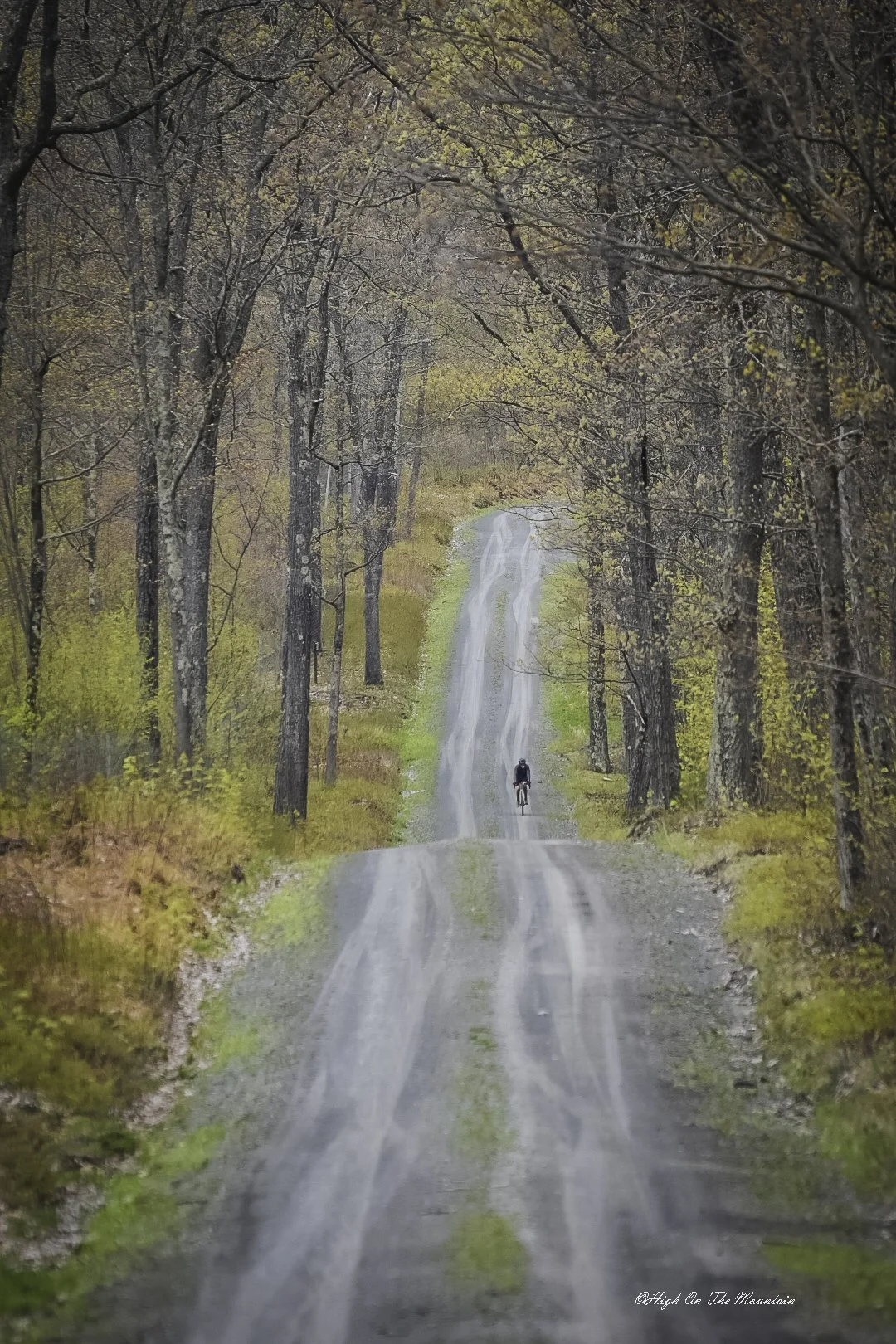 A person riding a bicycle on a dirt trail through a wooded area with mostly leafless trees and some small patches of green grass, creating a peaceful, natural scene.