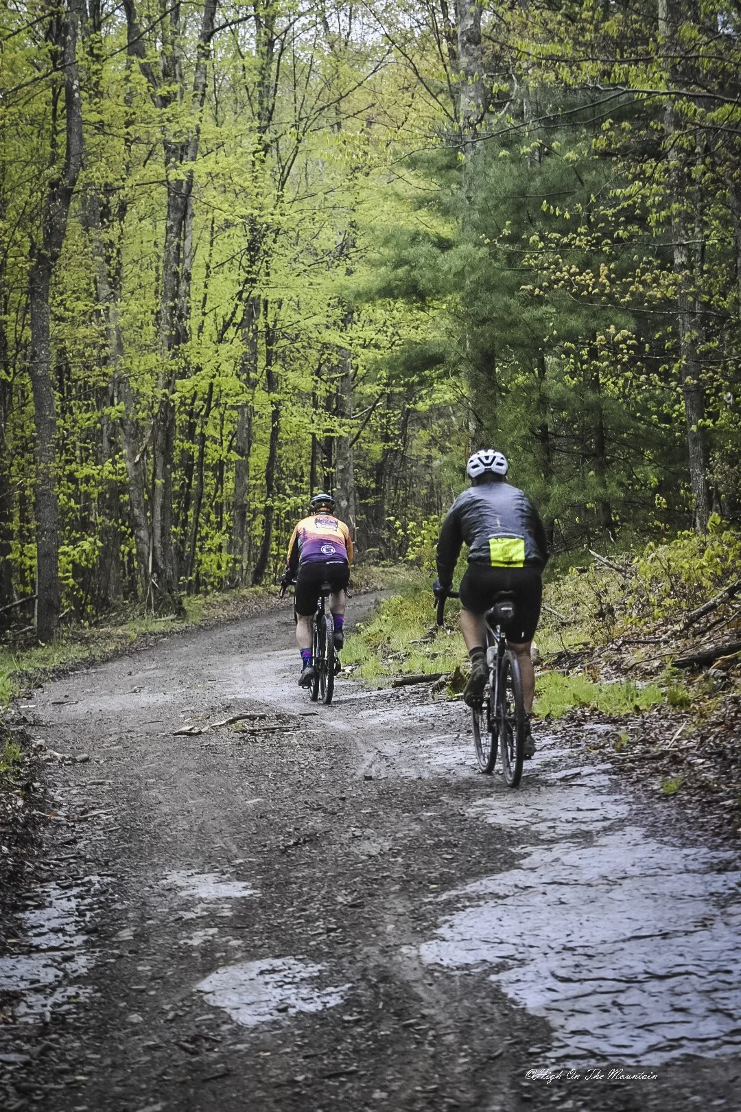 Two bikers riding on a dirt trail through a lush green forest with tall trees and bright green leaves.