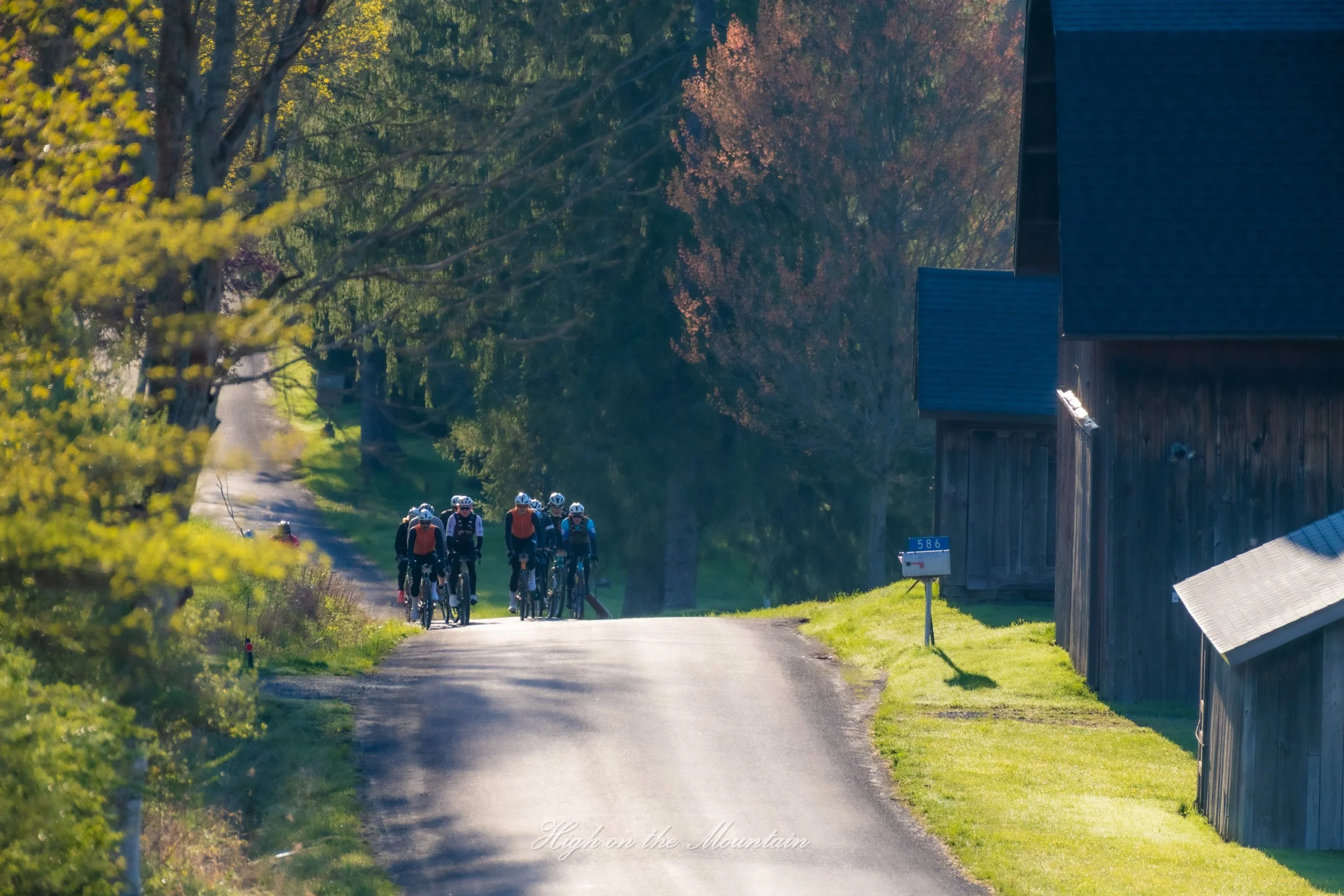 A group of cyclists riding on a rural road surrounded by trees with green and pink foliage, under a blue sky, with a barn and mailbox visible on the right side.