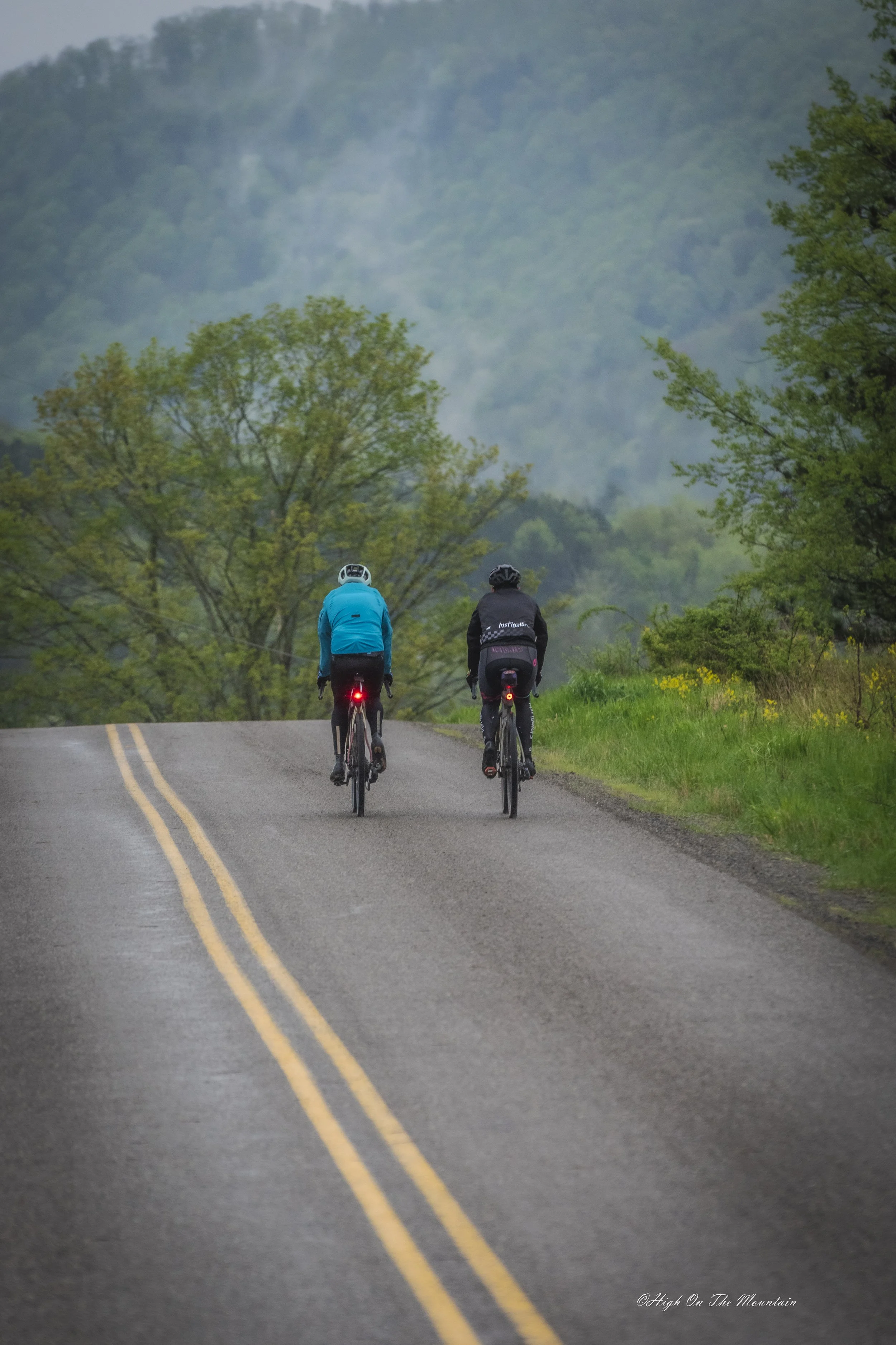 Two cyclists riding on a rural road with green trees and hills in the background, overcast sky.