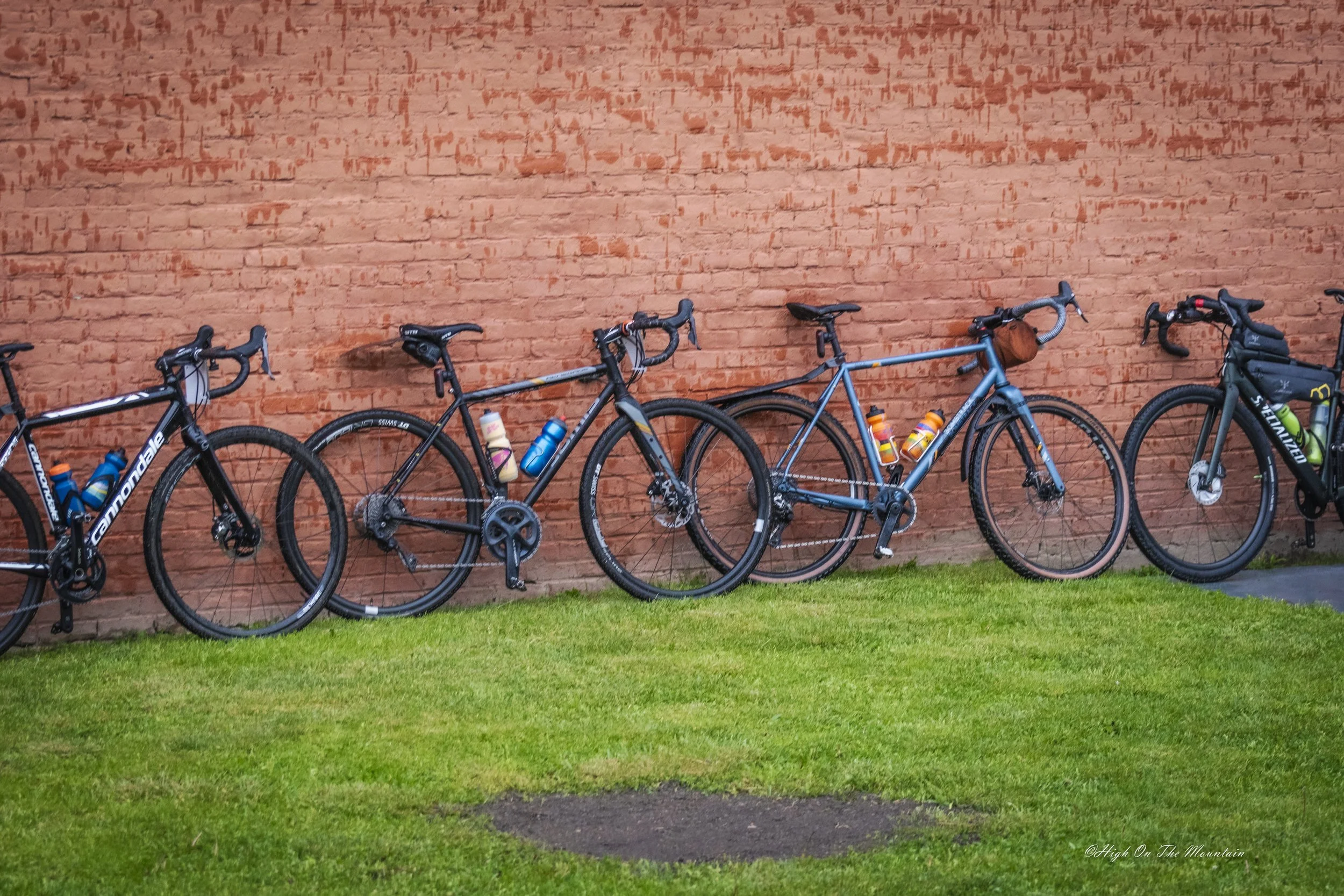 Five road bicycles parked against a red brick wall on a grassy area.