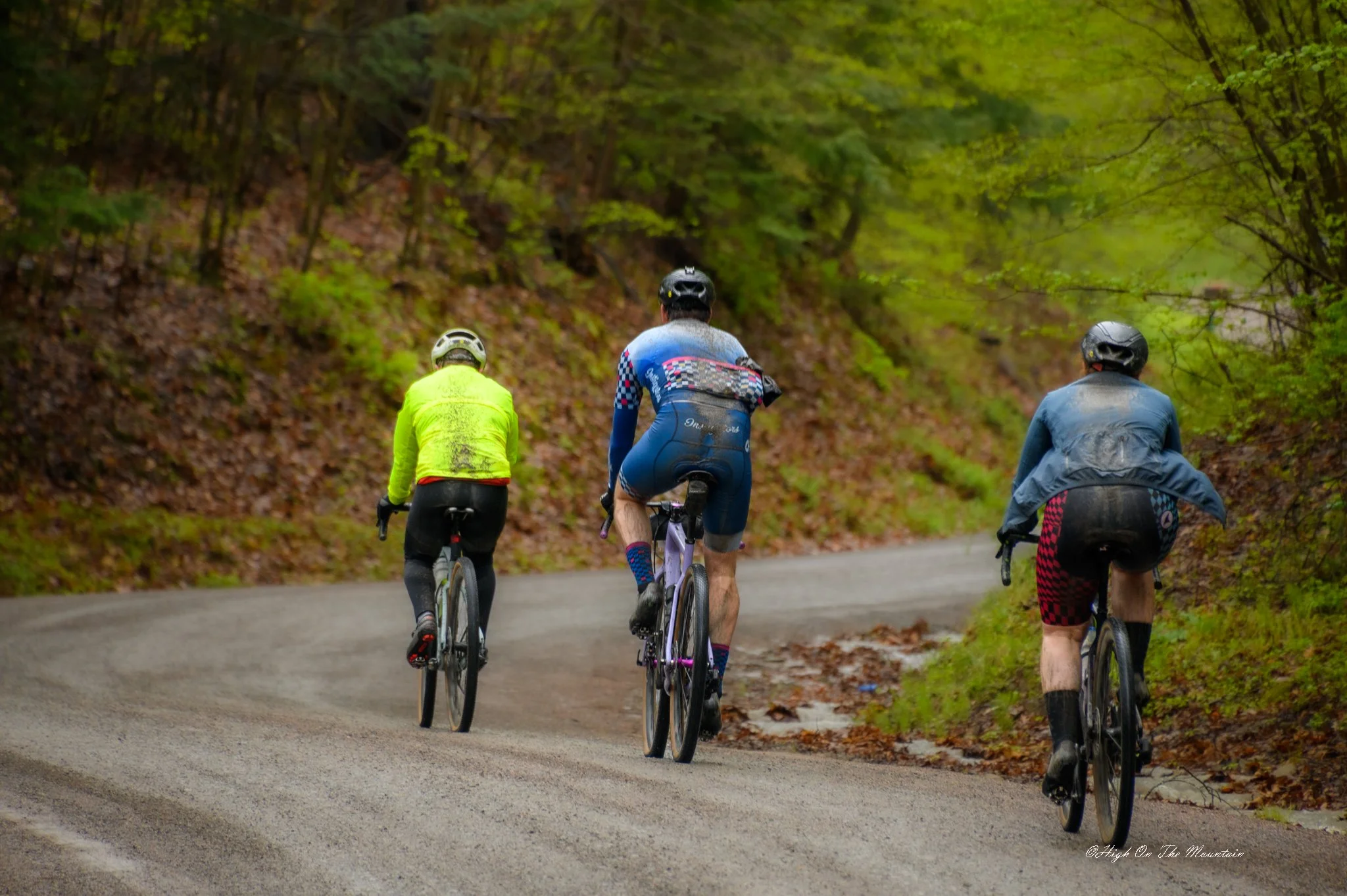 Three cyclists riding on a forest trail surrounded by green trees and fallen leaves.