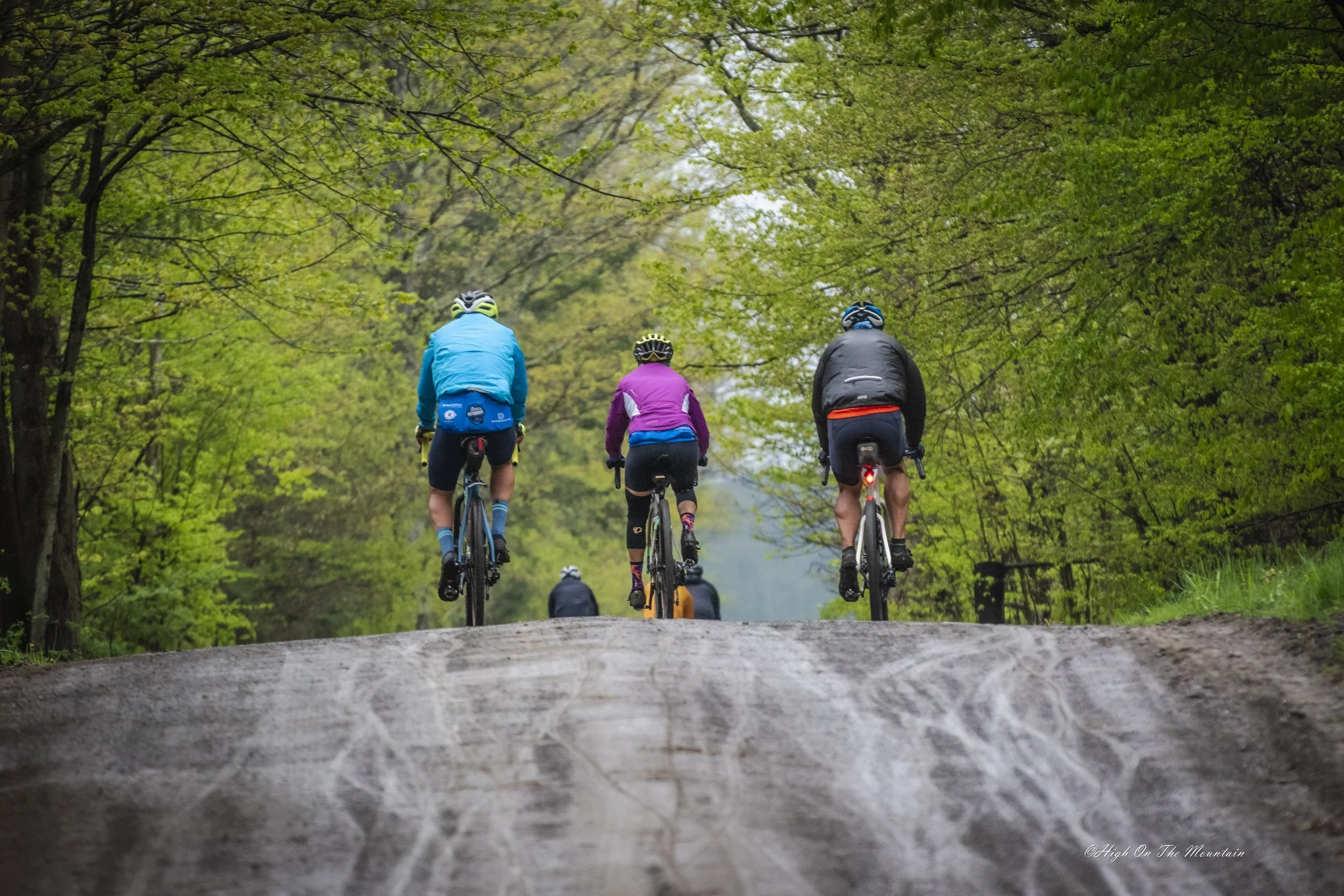 Four cyclists riding their bikes on a dirt trail through a lush green forest with overhanging trees.