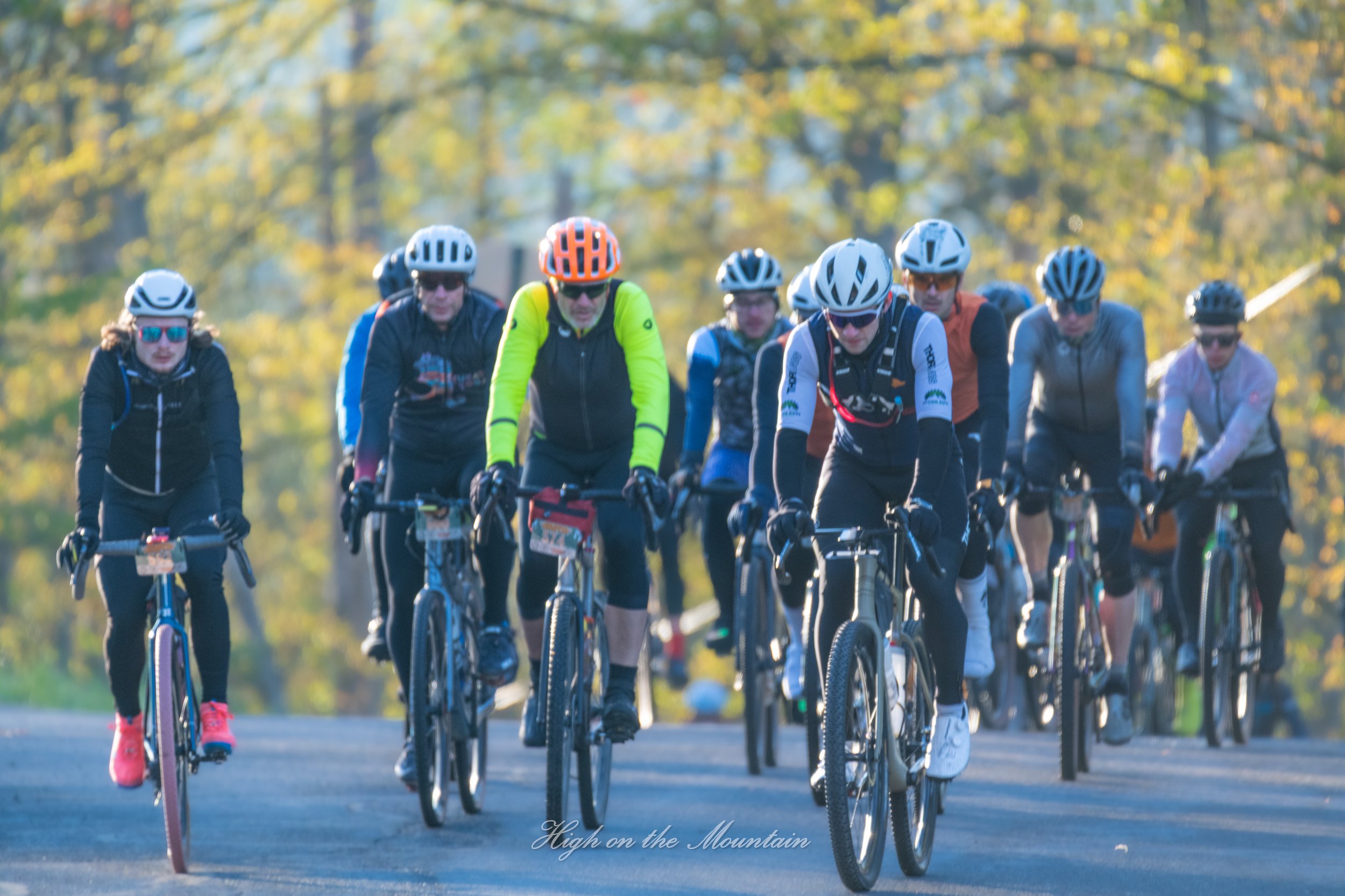 A group of cyclists riding on a road surrounded by trees with autumn foliage.