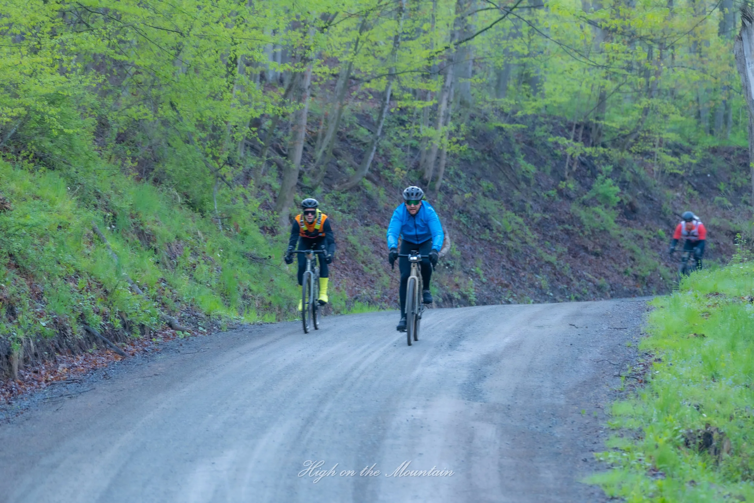 Three people riding bikes on a dirt road through a forest with green trees, wearing helmets and outdoor gear.