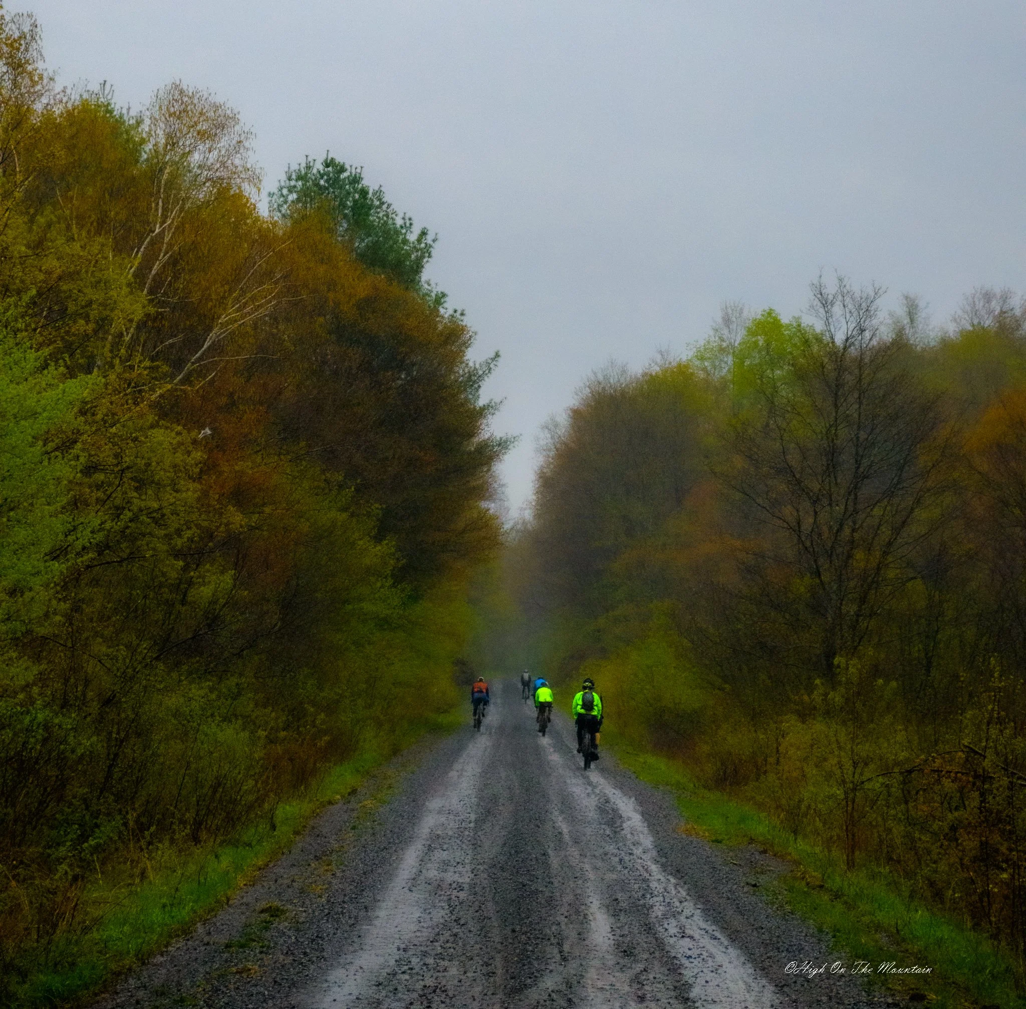 Group of cyclists riding on a gravel trail through a forest with colorful trees on a foggy day.