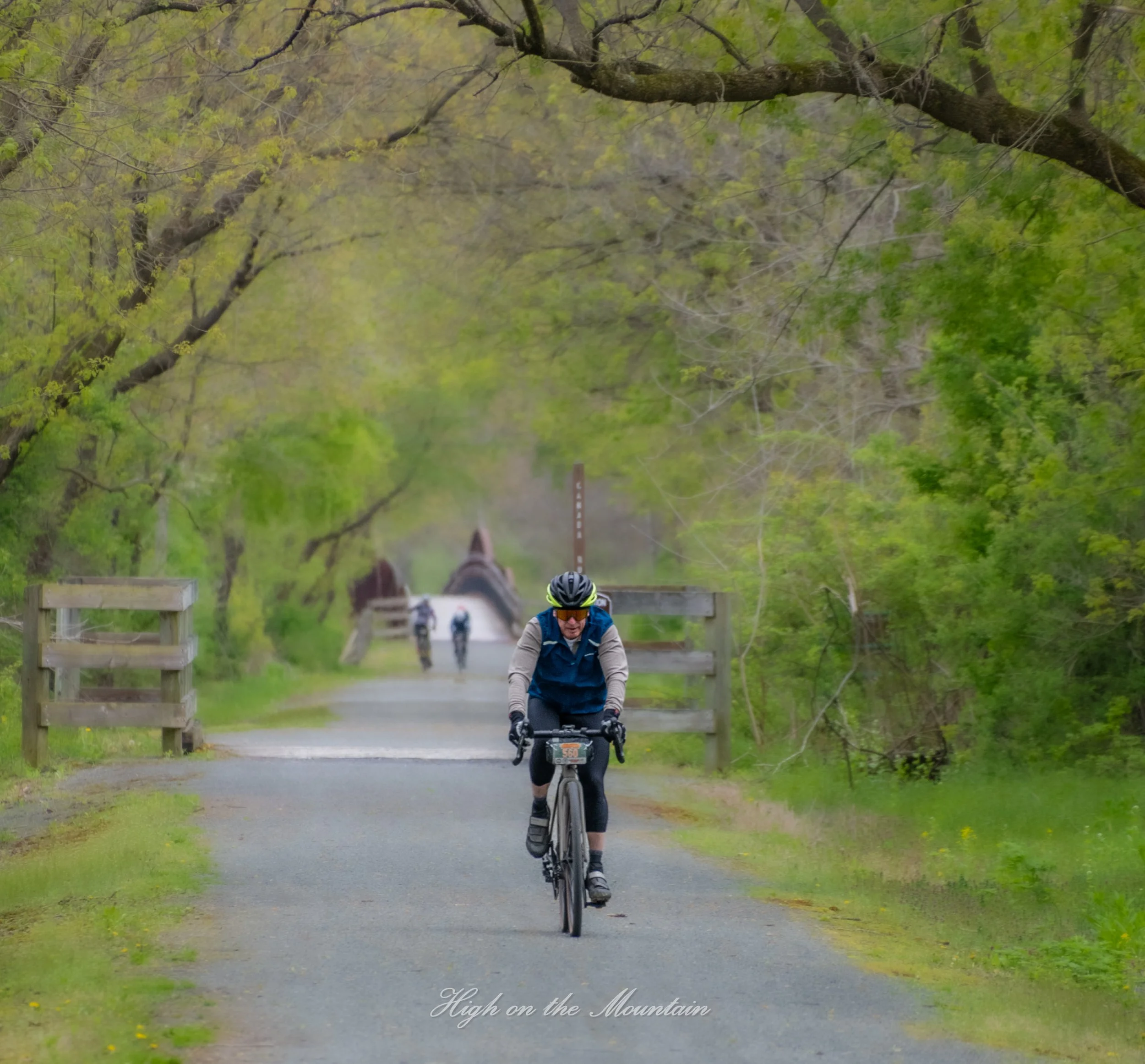 A person riding a bicycle along a path under a tree-lined archway in a park during daytime.