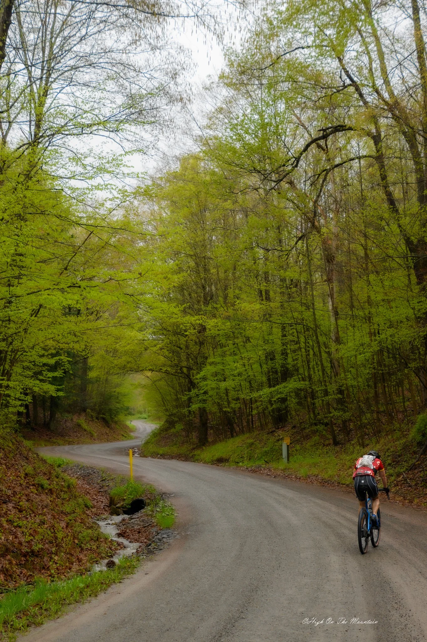A cyclist riding on a winding mountain road surrounded by green trees with fresh spring leaves and a small creek alongside the road.