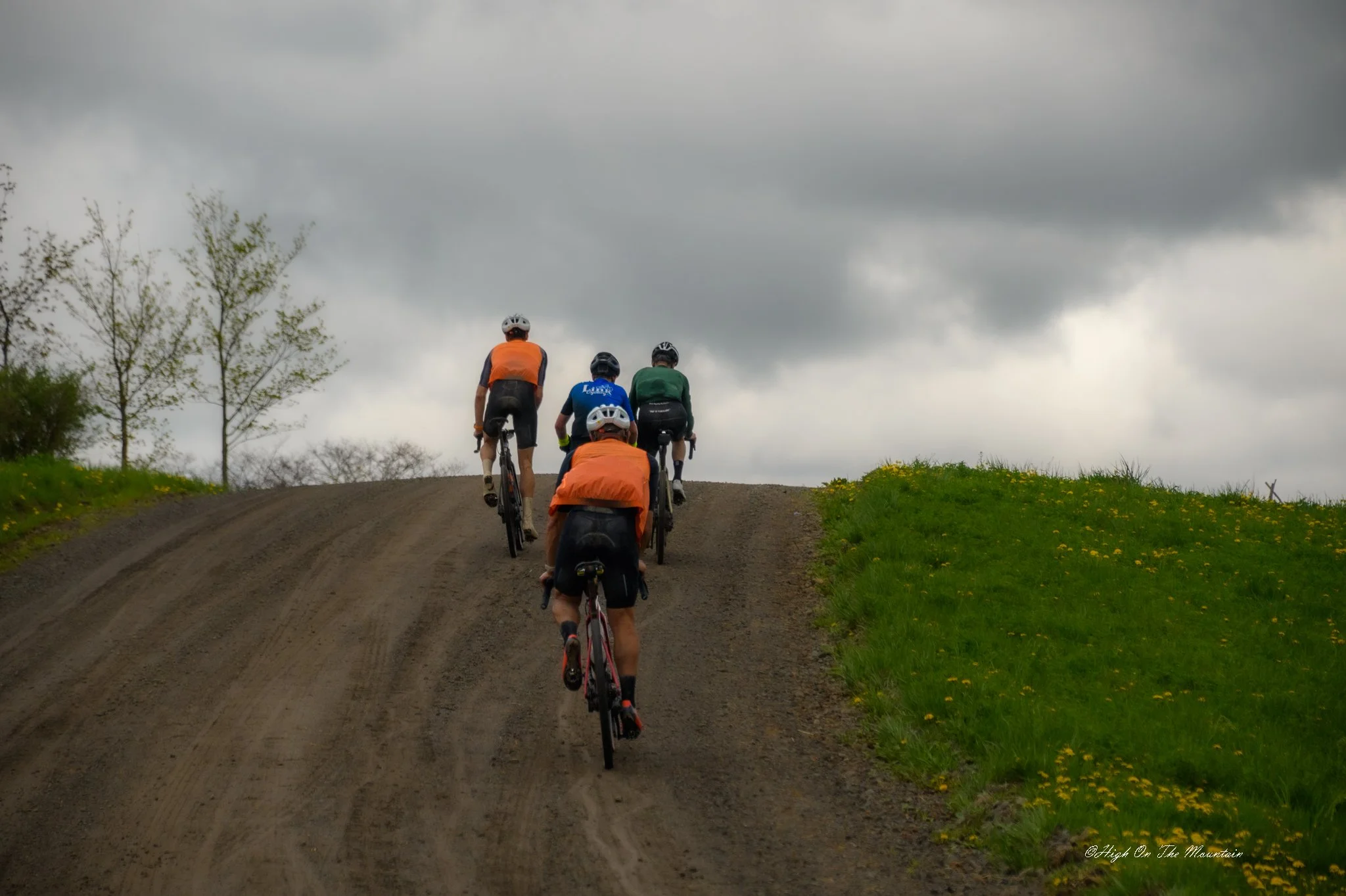 Four cyclists riding up a dirt hill on a cloudy day, with green grass and yellow wildflowers on the side of the trail.