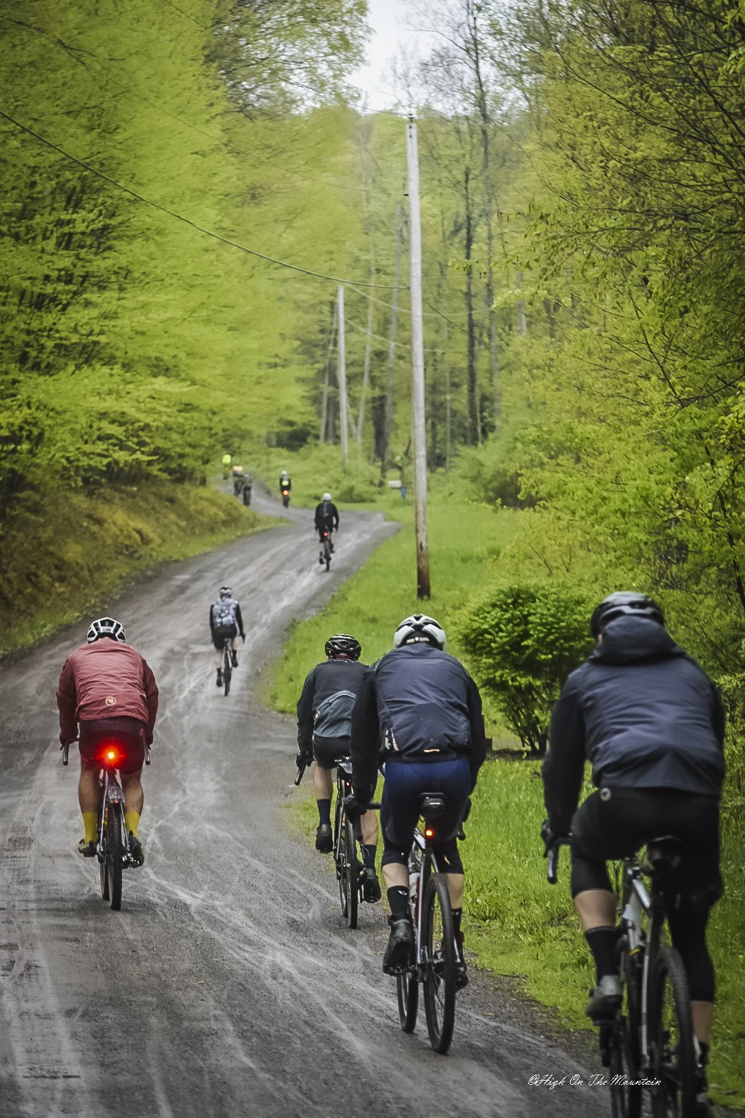 A group of cyclists riding on a dirt trail through a lush green forest on an overcast day.