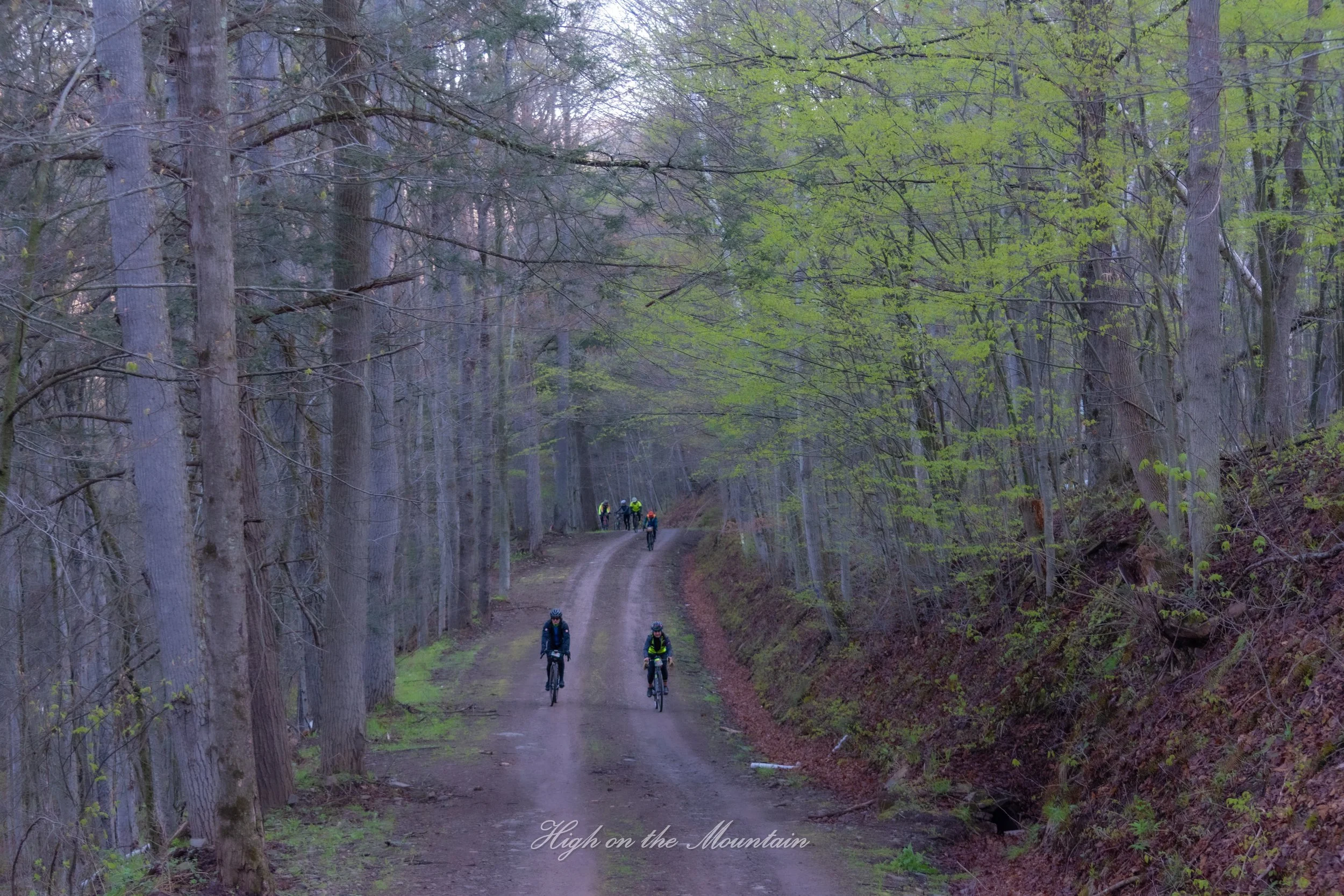 Bicyclists riding on a forest trail surrounded by tall trees with green leaves. The scene is peaceful and scenic, with a hint of evening light. The text 'High on the Mountain' is visible at the bottom.