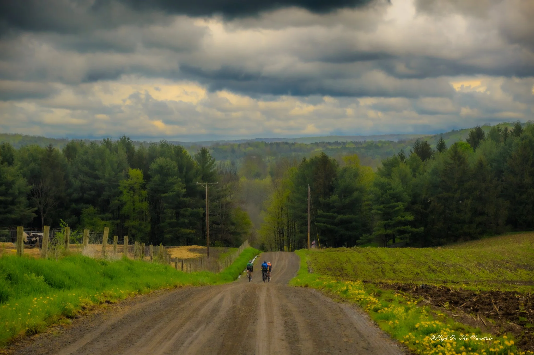 A scenic rural landscape with a dirt road winding through green fields, surrounded by trees, and a cloudy sky overhead. Four cyclists are riding on the dirt road.
