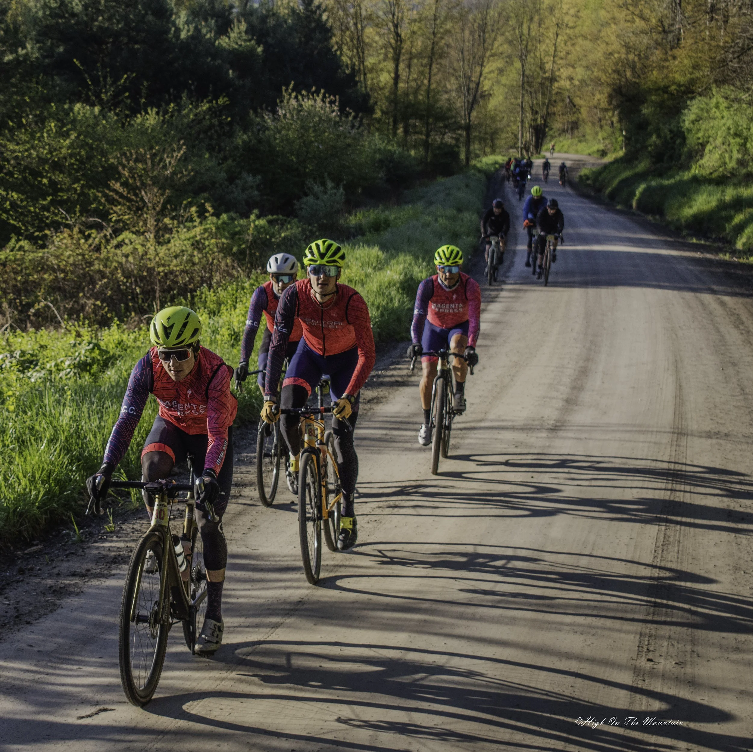 A group of cyclists riding along a dirt road surrounded by green trees and vegetation, with sunlight casting shadows on the ground.