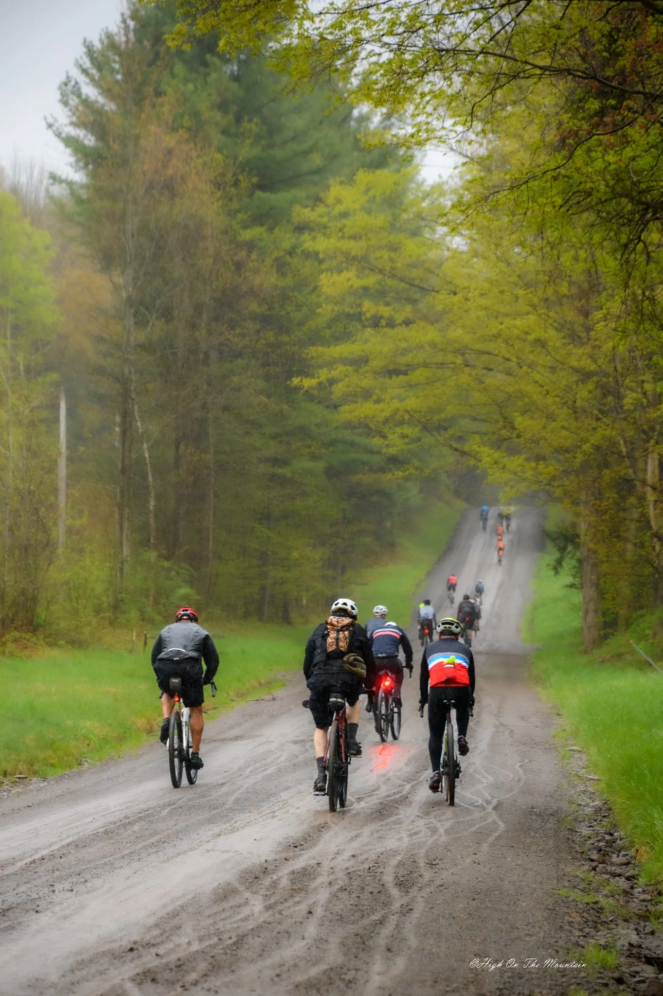 A group of cyclists riding on a dirt road surrounded by trees with green and yellow leaves, during a misty day.