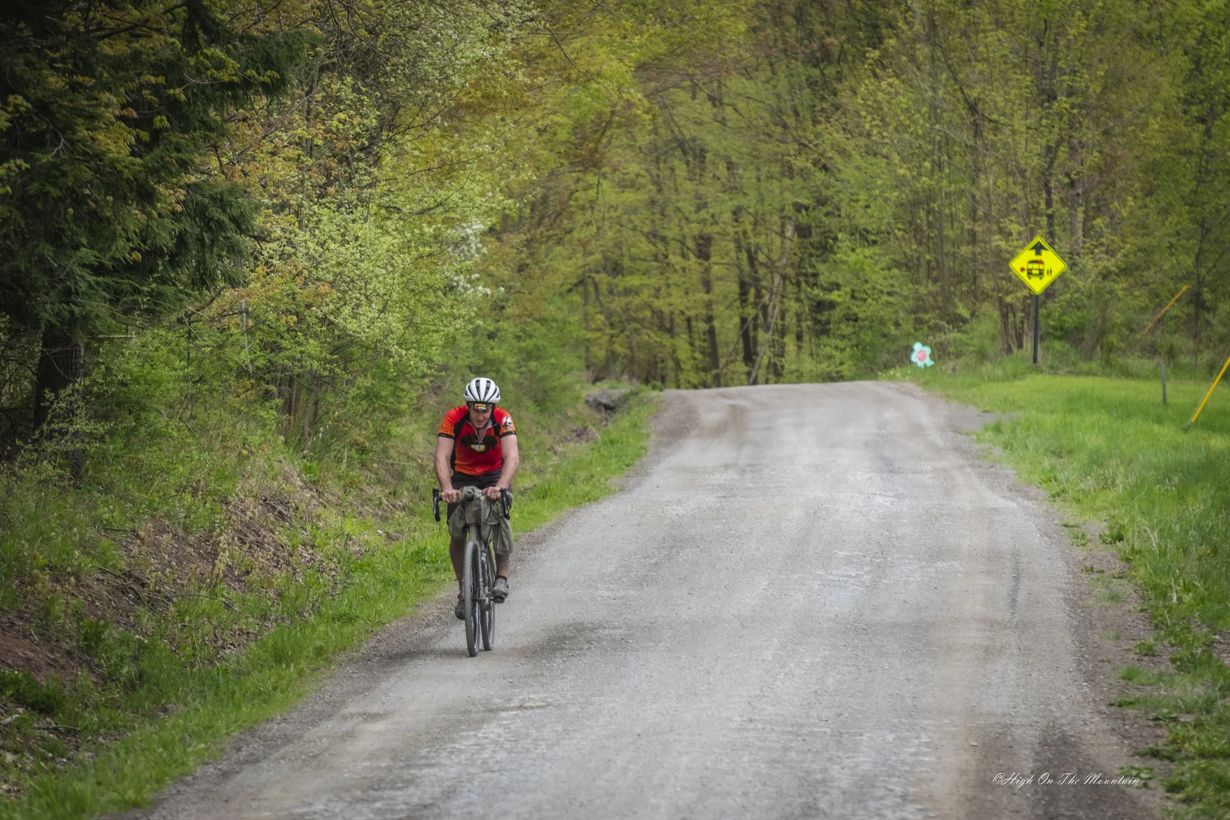 A person riding a bicycle on a gravel forest trail surrounded by green trees, with a yellow sign with a car and arrow in the distance.