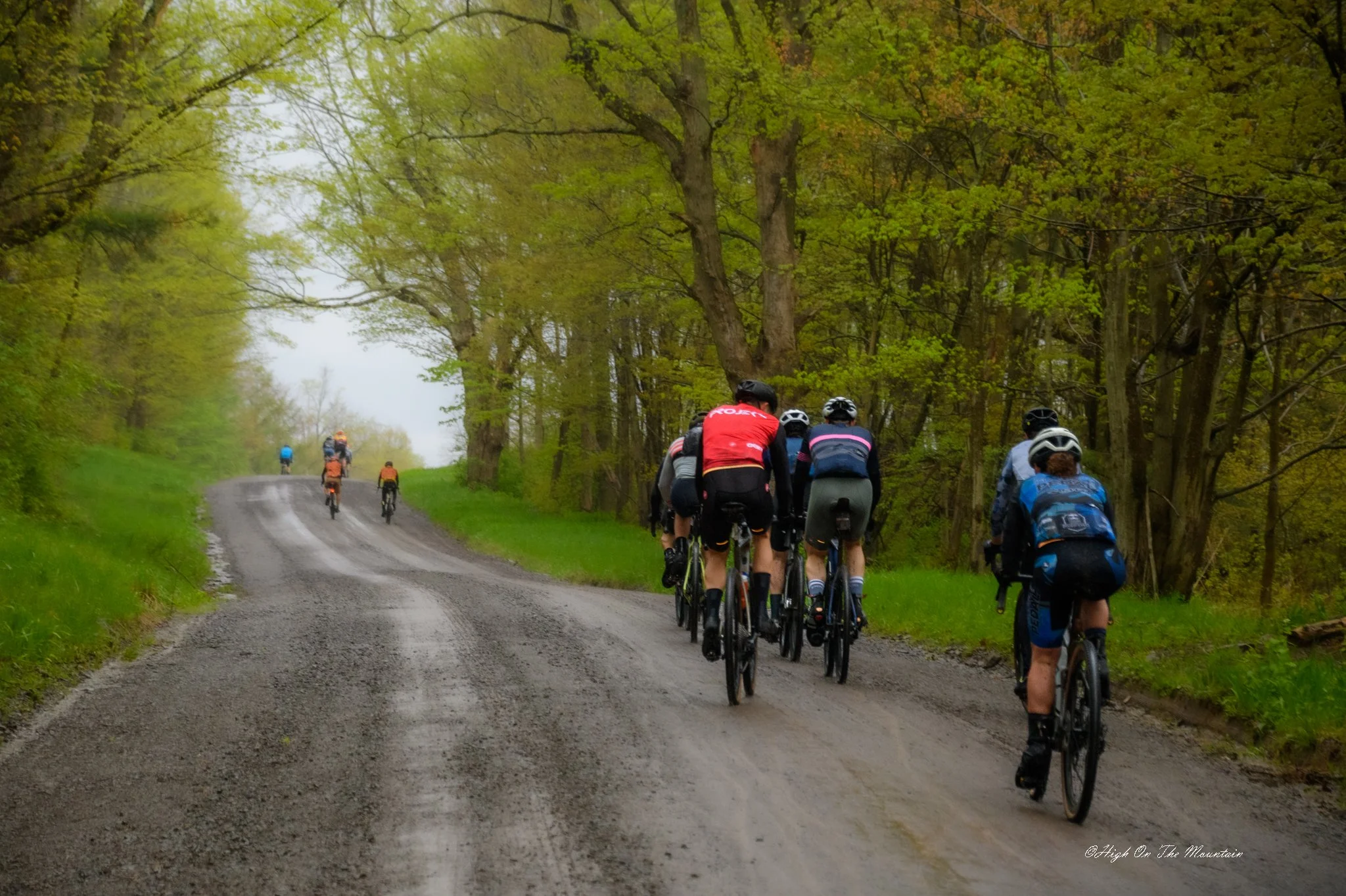 A group of cyclists riding their bikes on a winding dirt road through a green forest with tall trees and lush foliage.