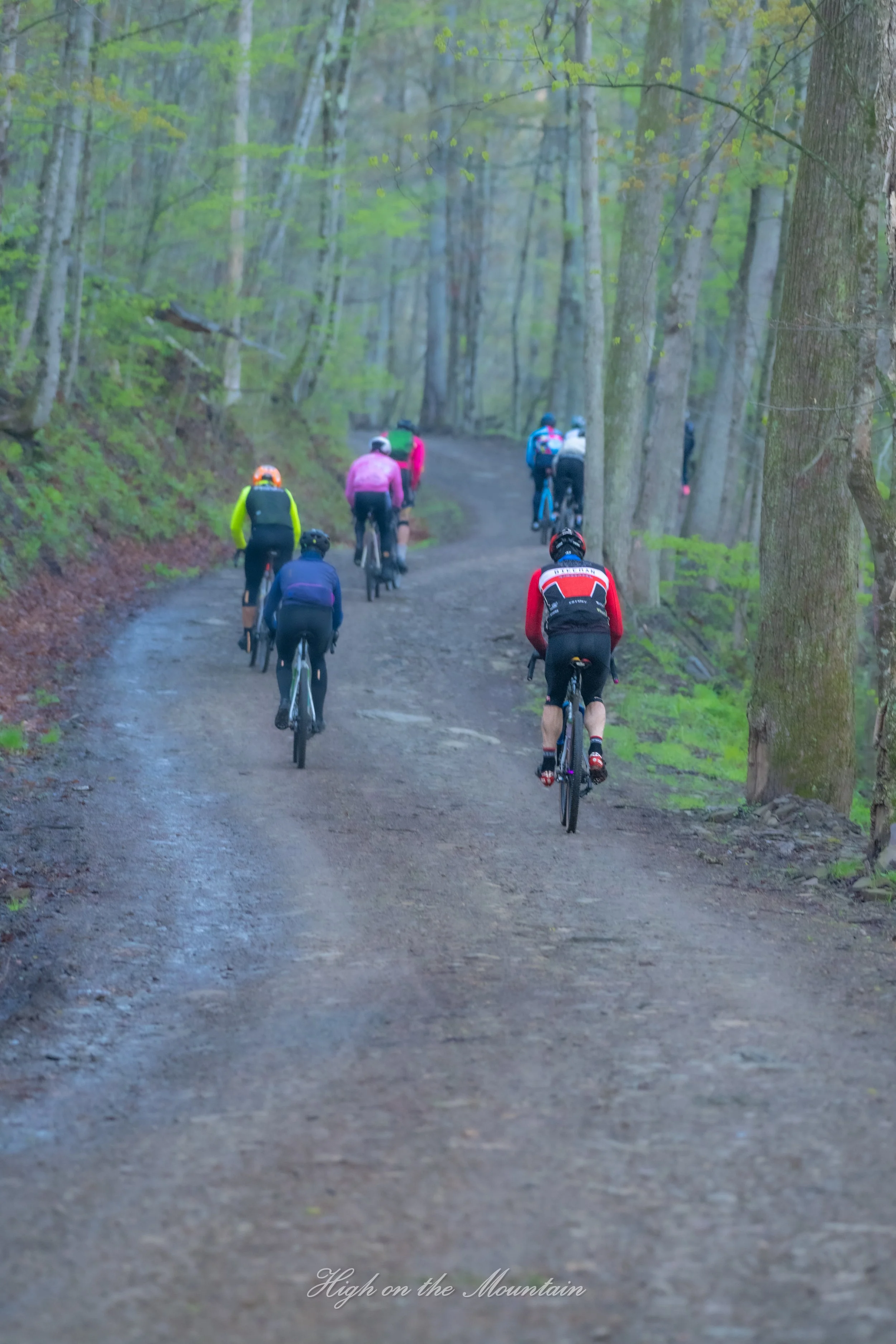 Group of cyclists riding on a dirt trail through a lush, green forest with tall trees.