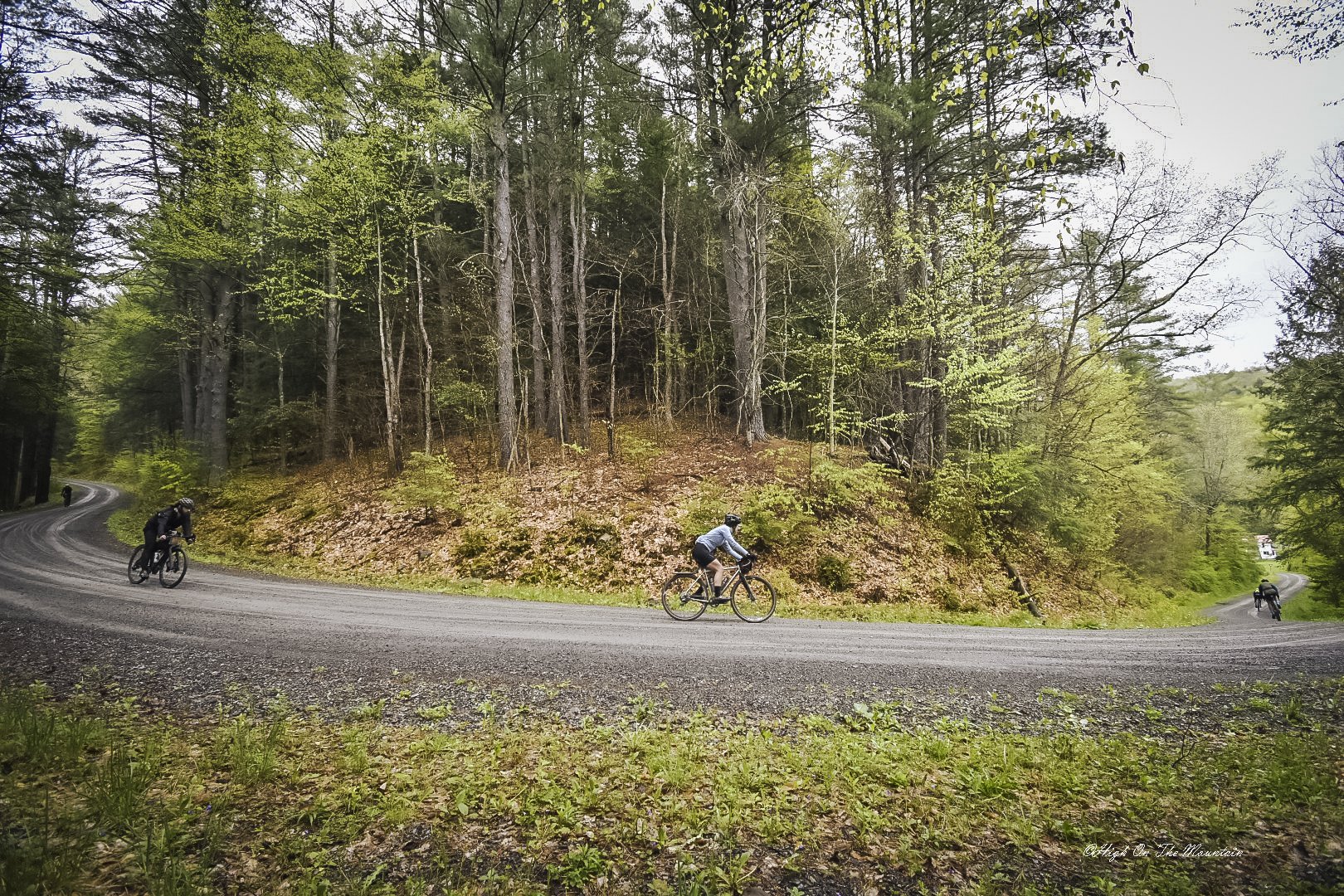 Four cyclists riding on a winding dirt road through a lush green forest with tall trees and misty weather.