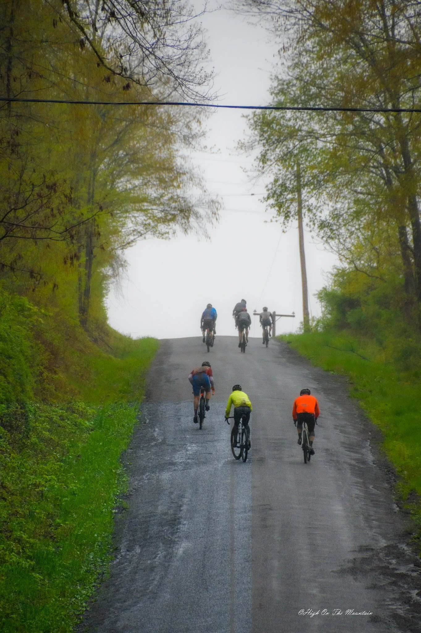 A group of six cyclists riding on a wet, paved road surrounded by green grass and trees with fall foliage. Thick fog obscures the background.