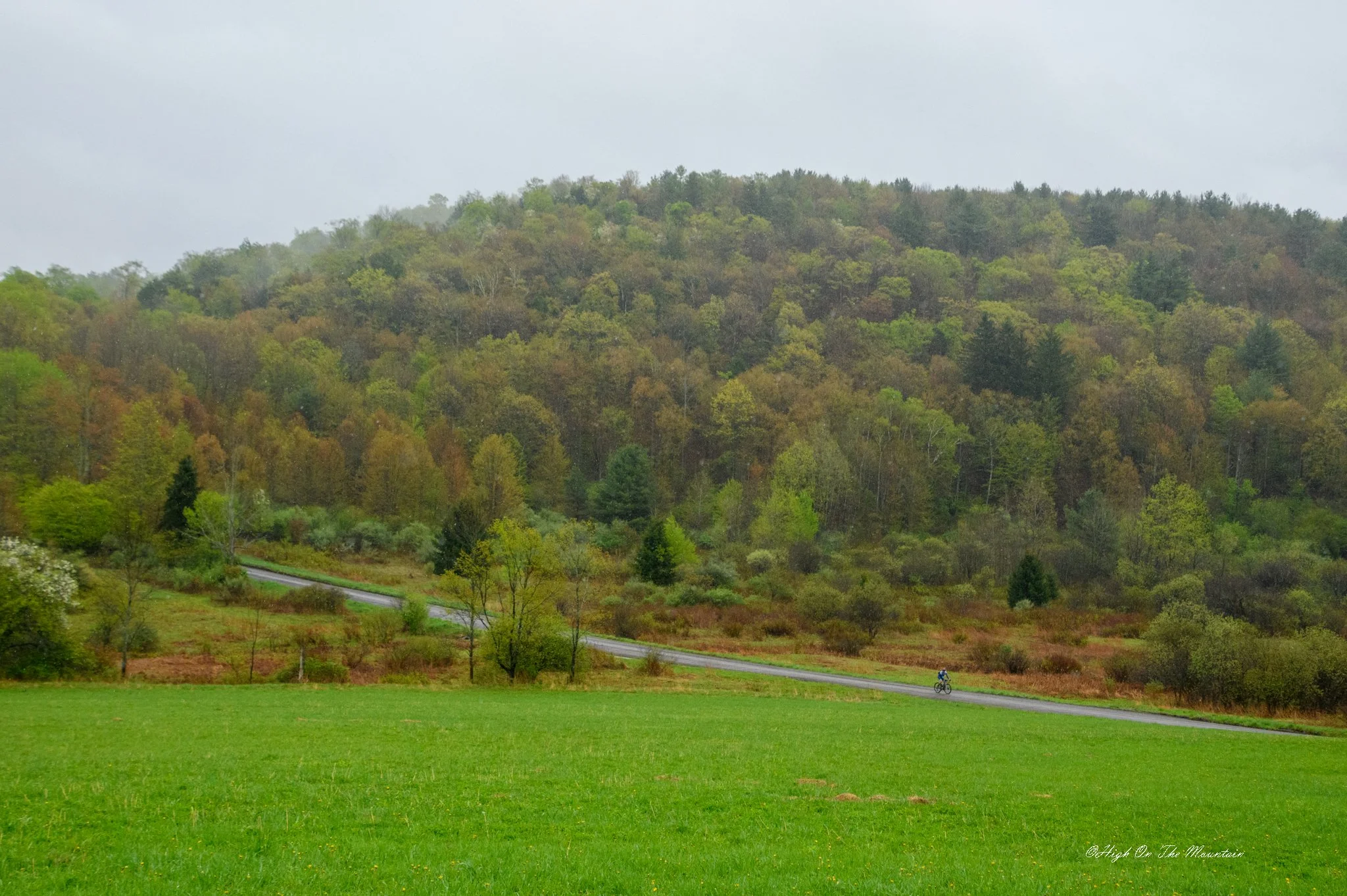 A scenic landscape with a lush green field in the foreground, a winding road with a cyclist riding along it, and a forested hill in the background on a cloudy, rainy day.