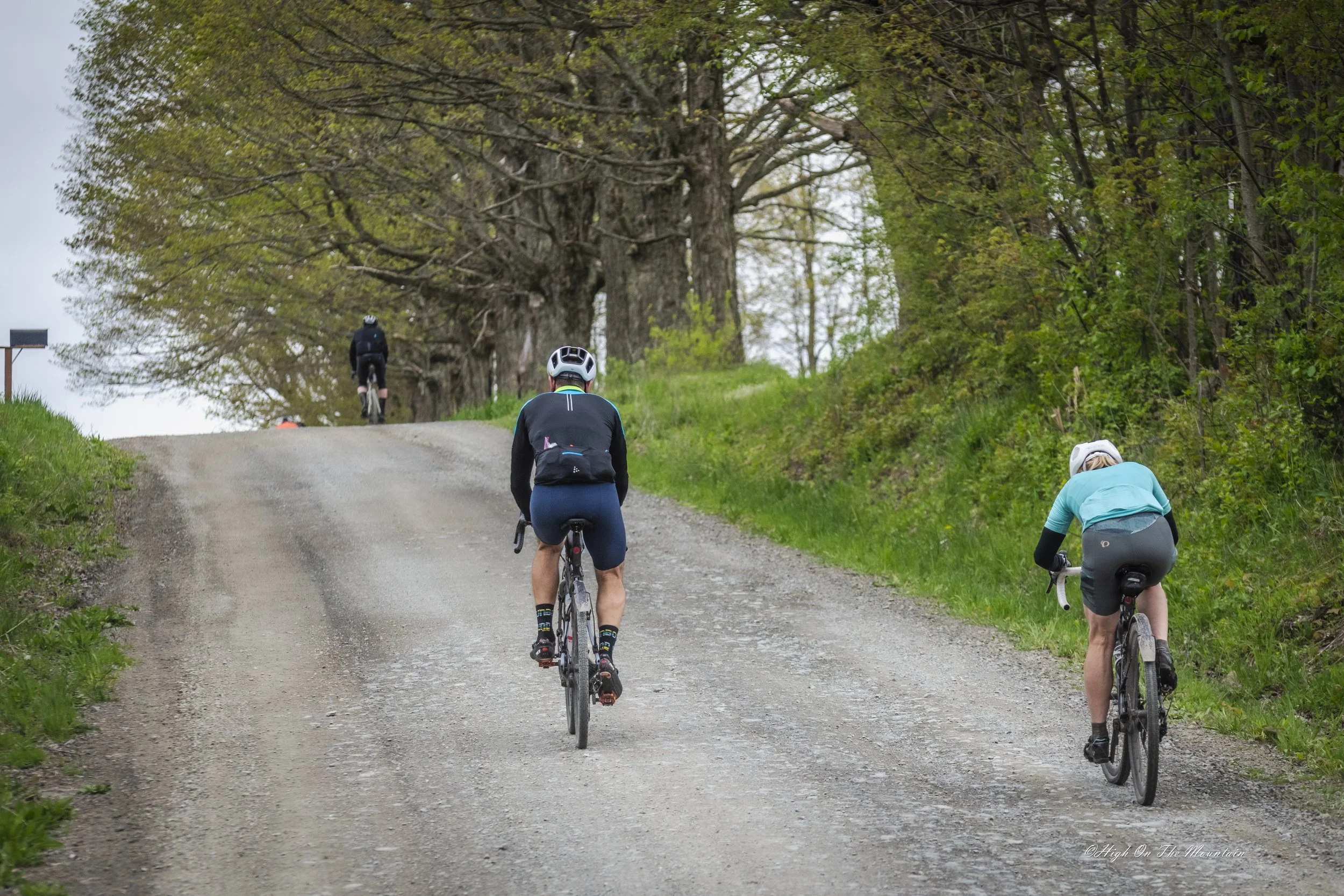 Three cyclists riding on a gravel trail through a lush, green wooded area with tall trees and dense foliage, with two cyclists in the foreground and one further ahead.
