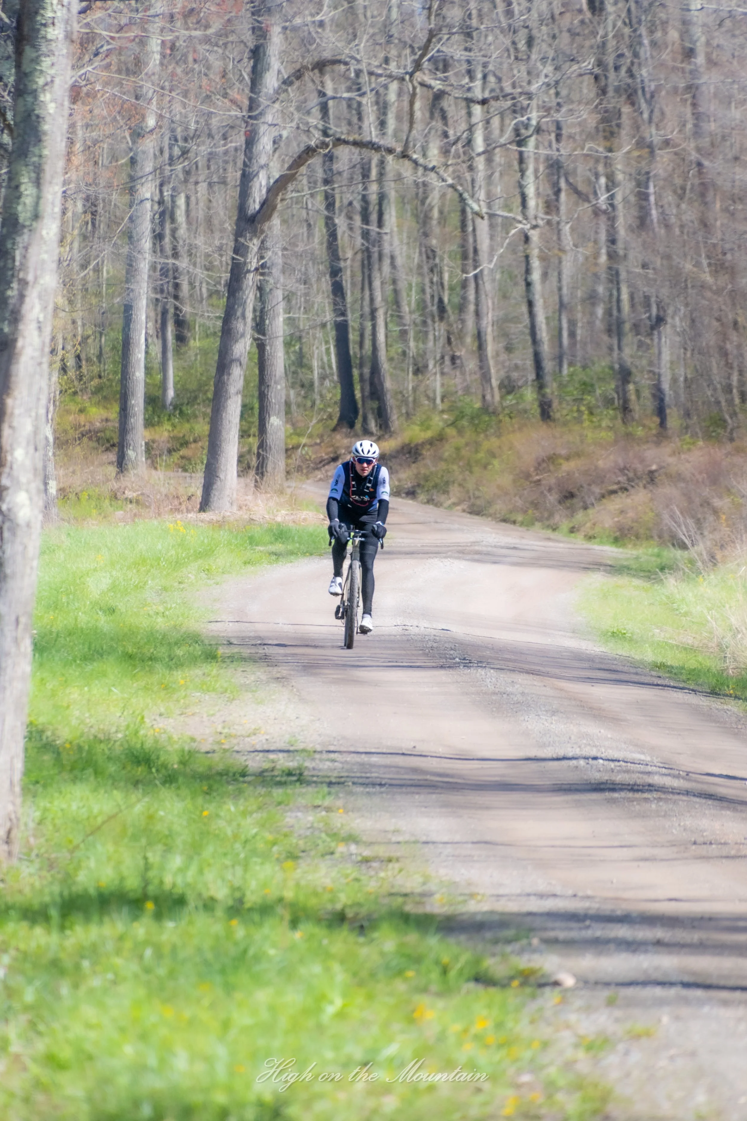 A person riding a bicycle on a dirt trail through a forest with tall leafless trees. The sky is overcast, and there is some greenery on the ground.