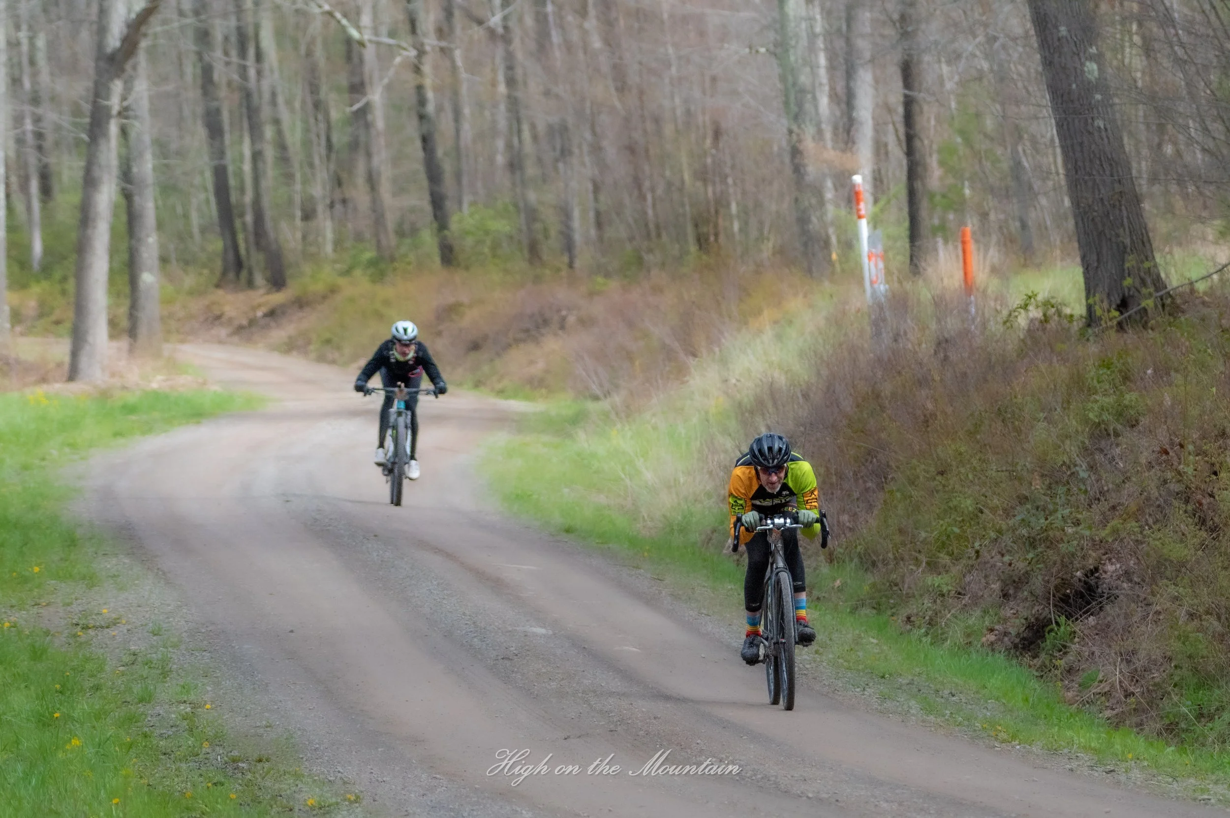 Three mountain bikers riding on a dirt trail through a forested area. The trees are tall and leafless, indicating early spring or late fall.