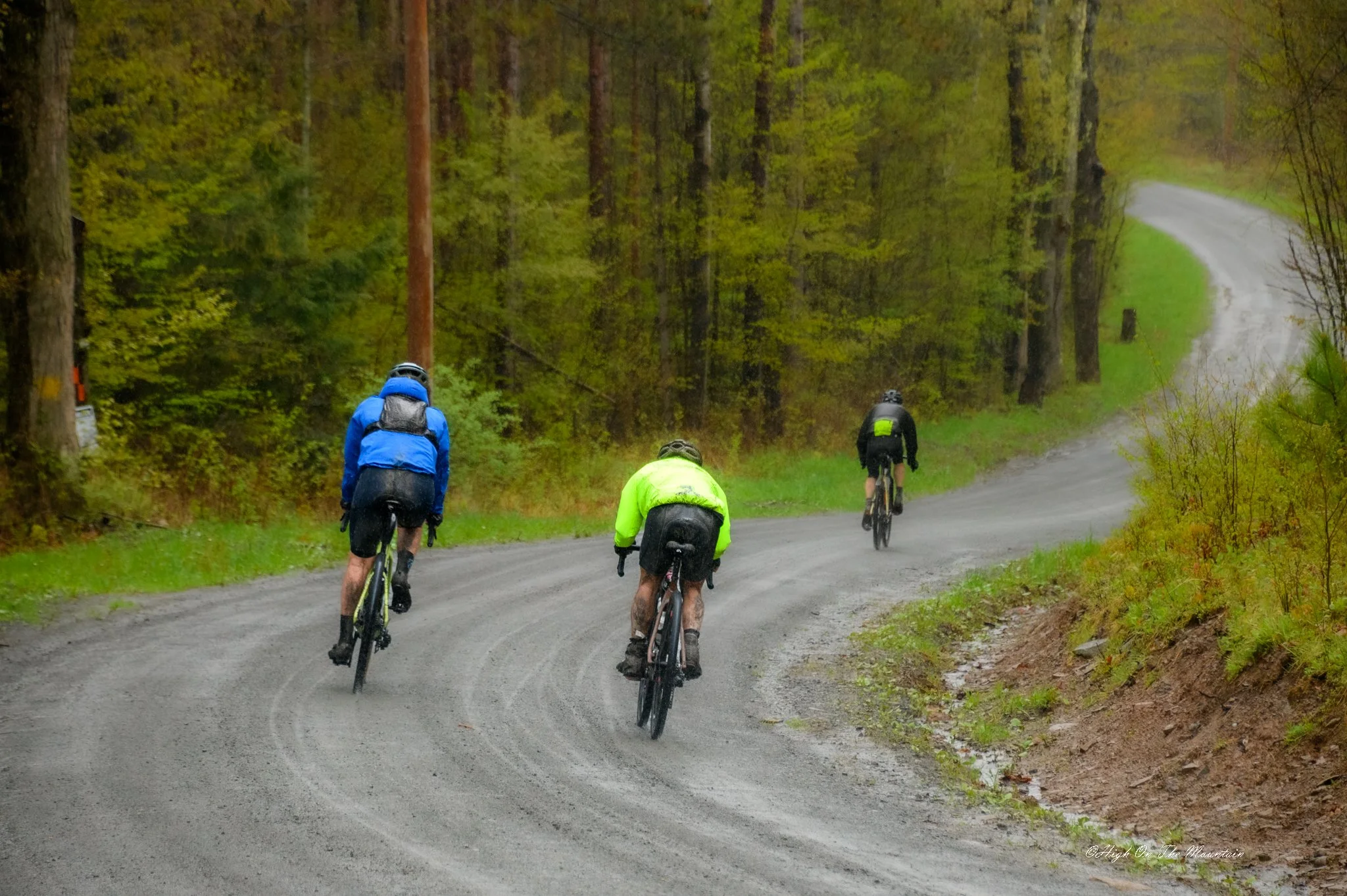 Four cyclists riding on a wet, winding forest road surrounded by trees with green foliage.