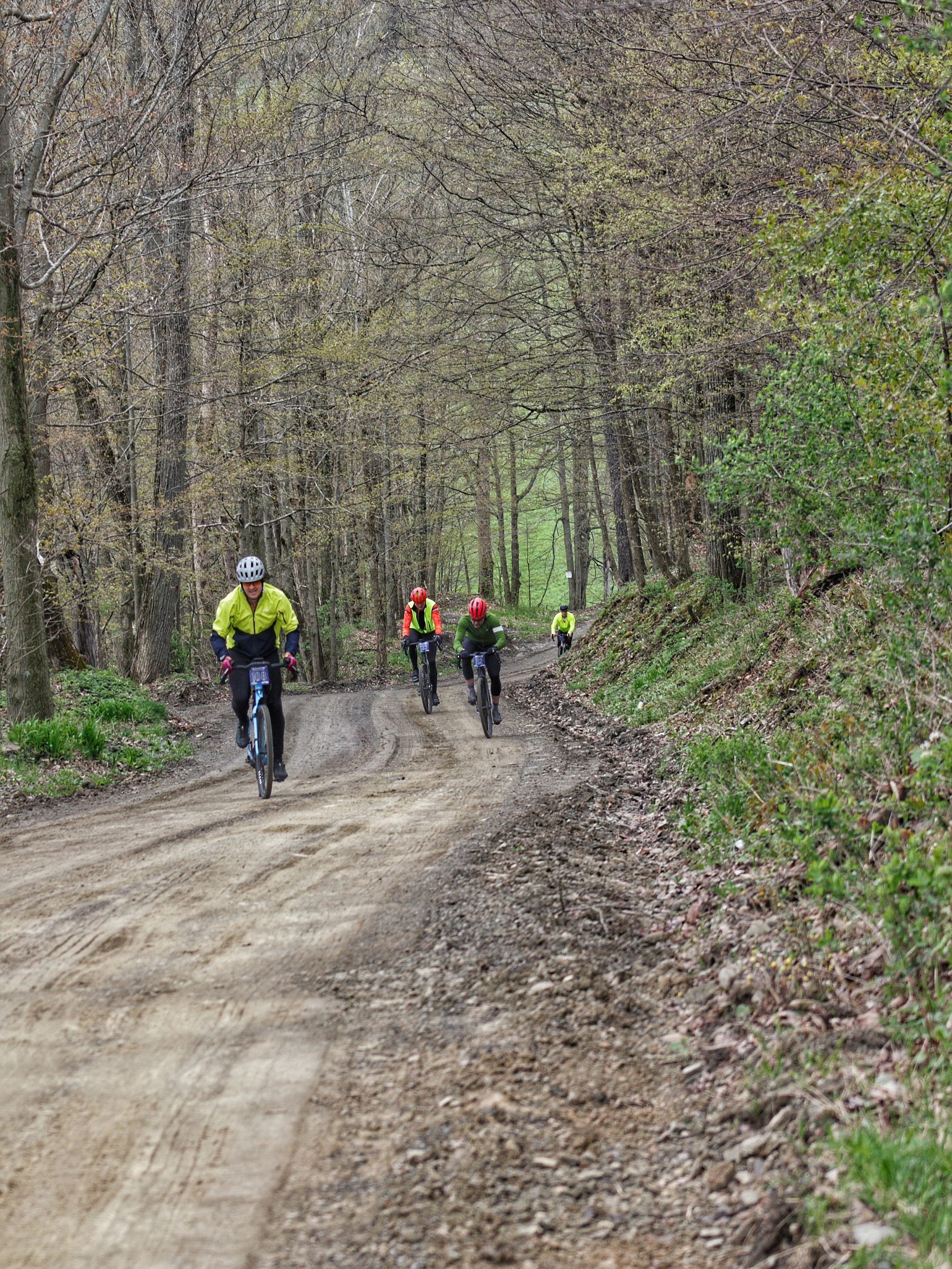 Four people riding bikes on a dirt trail through a forest with leafless and some green trees.