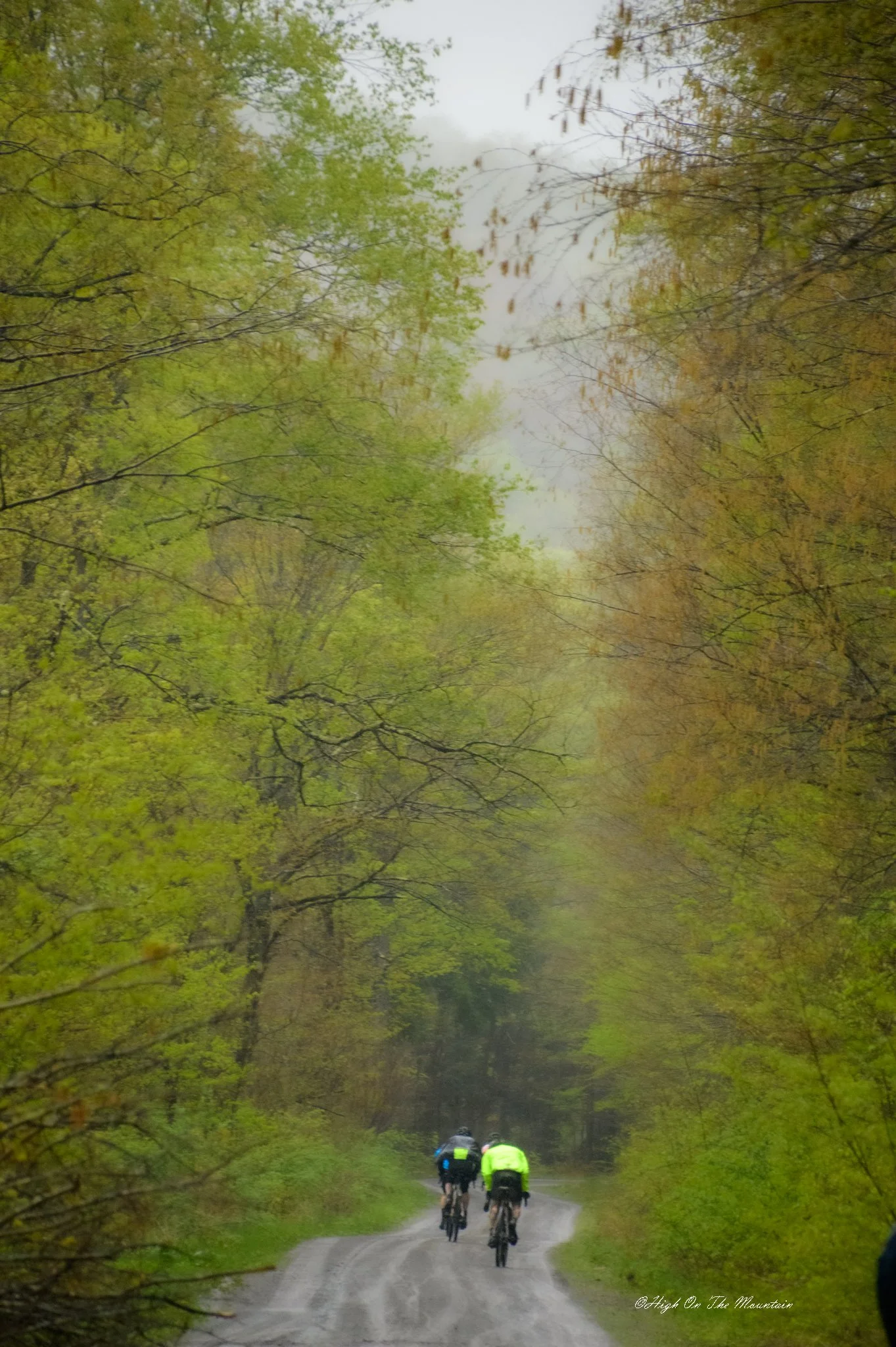 A group of cyclists riding on a narrow, winding road through a forest with lush green and yellow leaves, under an overcast sky.