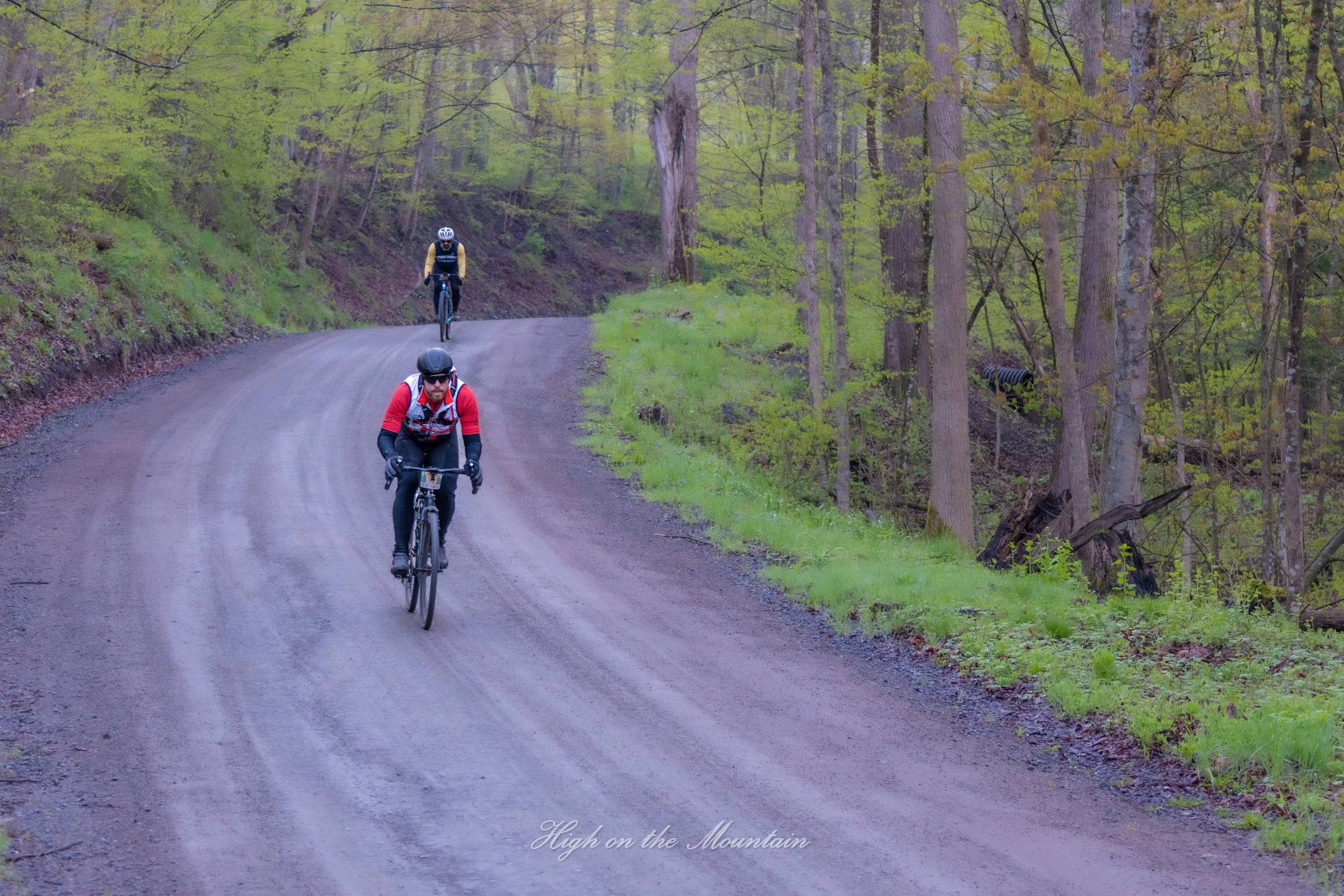 Two cyclists biking on a dirt trail surrounded by tall trees with green leaves in a forest.