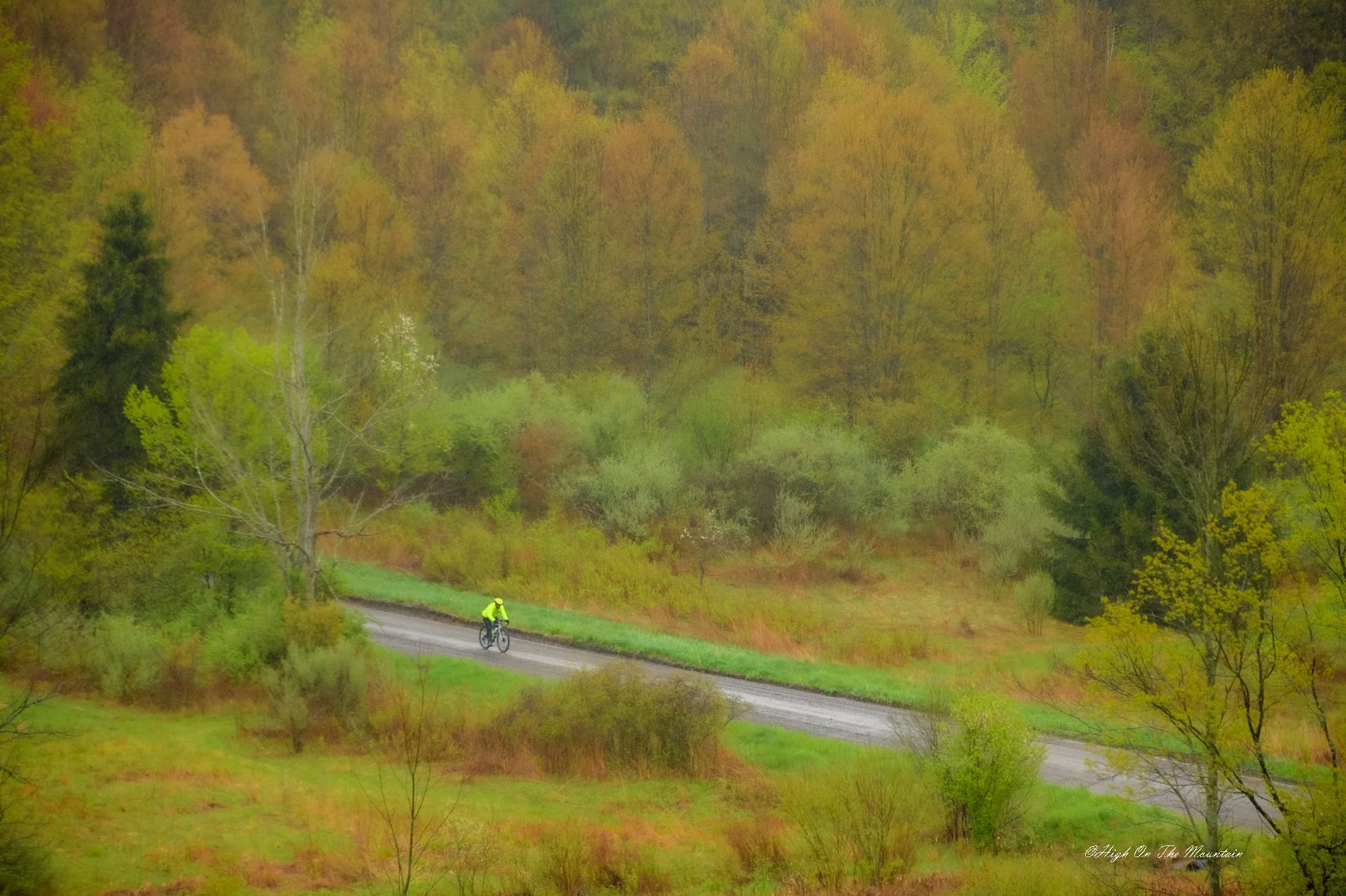 A cyclist in bright yellow riding gear on a winding trail through a lush, green forest with trees in early spring foliage.