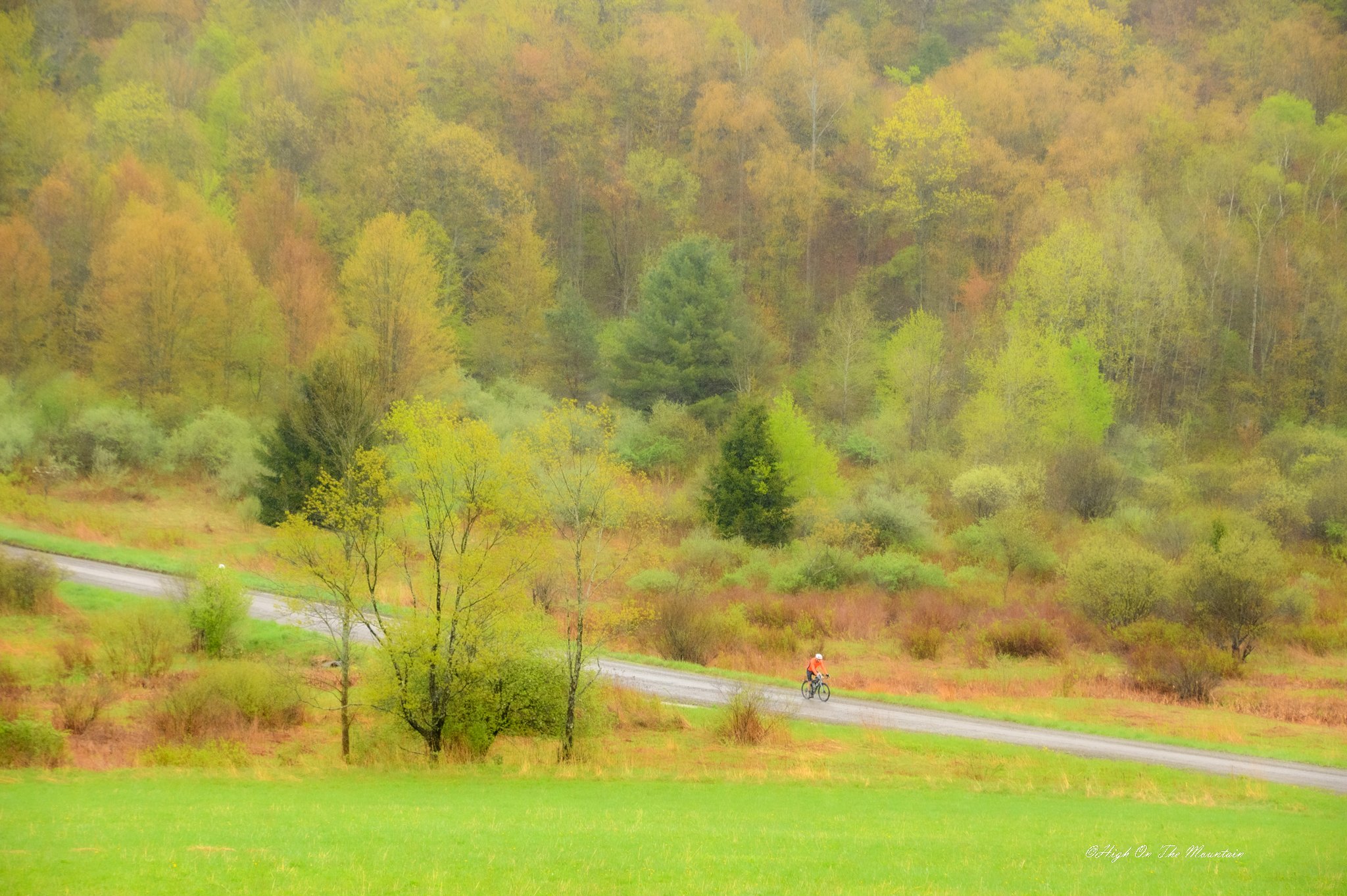 A person riding a bicycle on a winding road through a lush, green forest with trees showing fall colors.