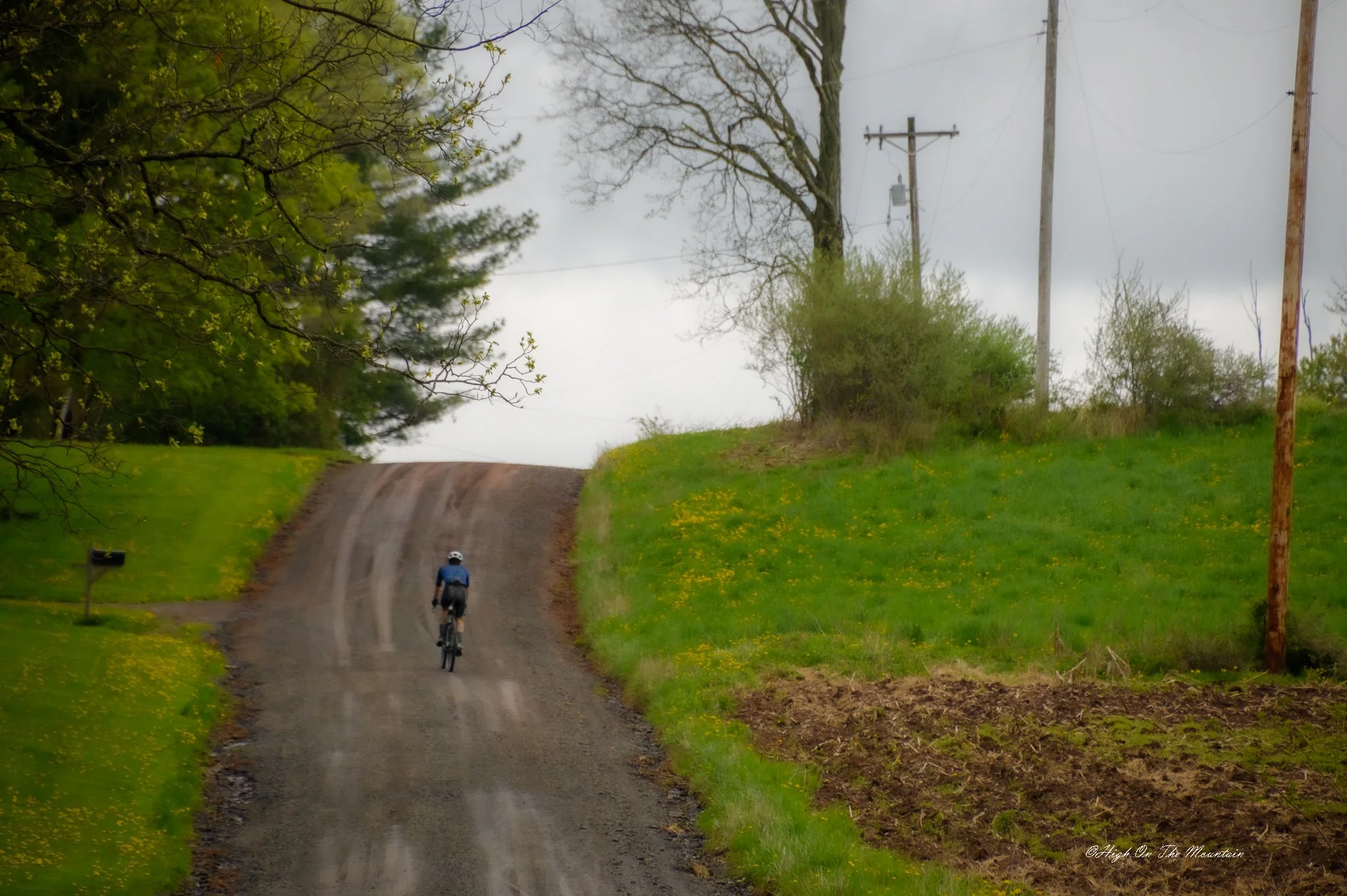 A person riding a bicycle on a dirt road in a green landscape with trees and utility poles, under a cloudy sky.