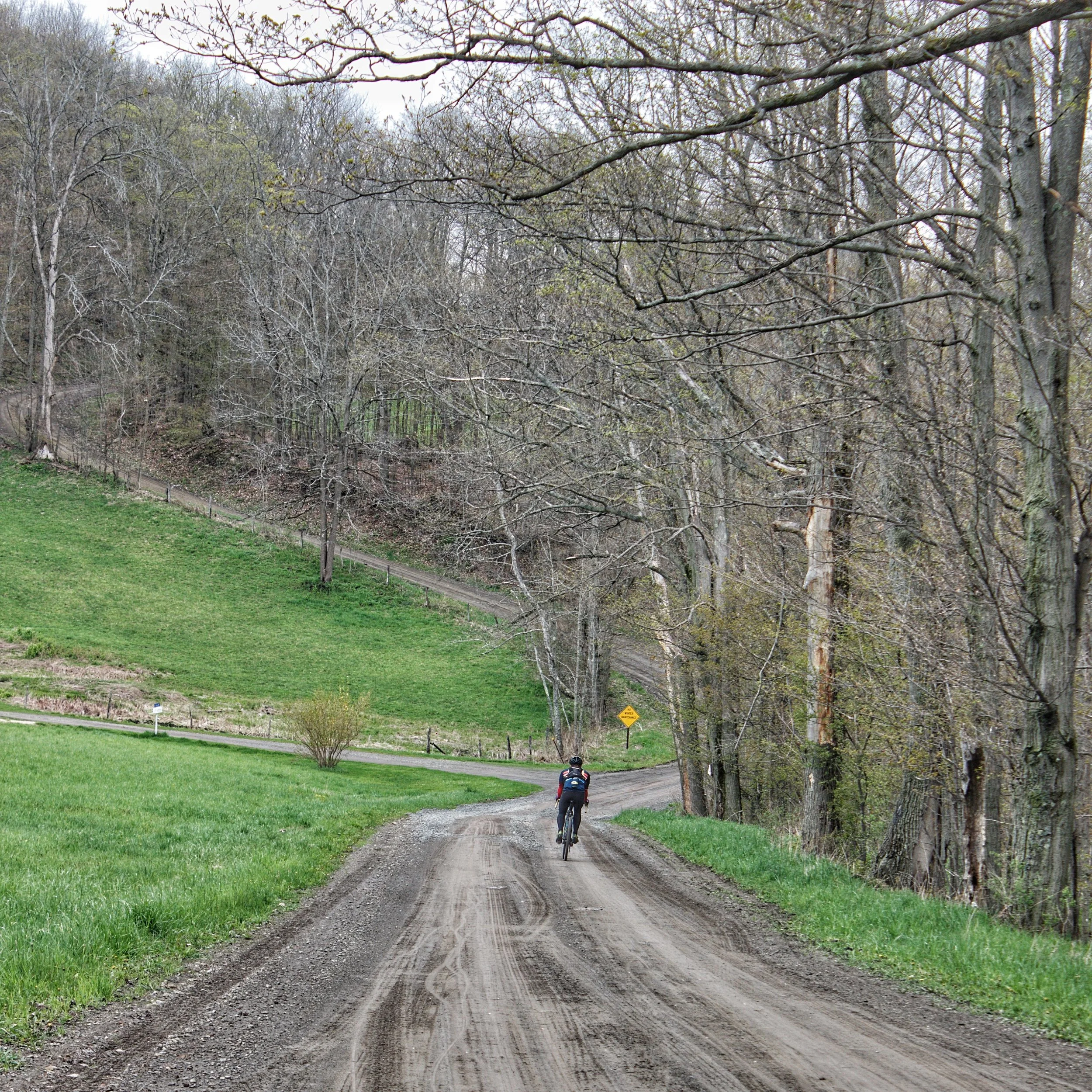 A person riding a bicycle on a dirt trail through a wooded area with leafless trees and green grass.