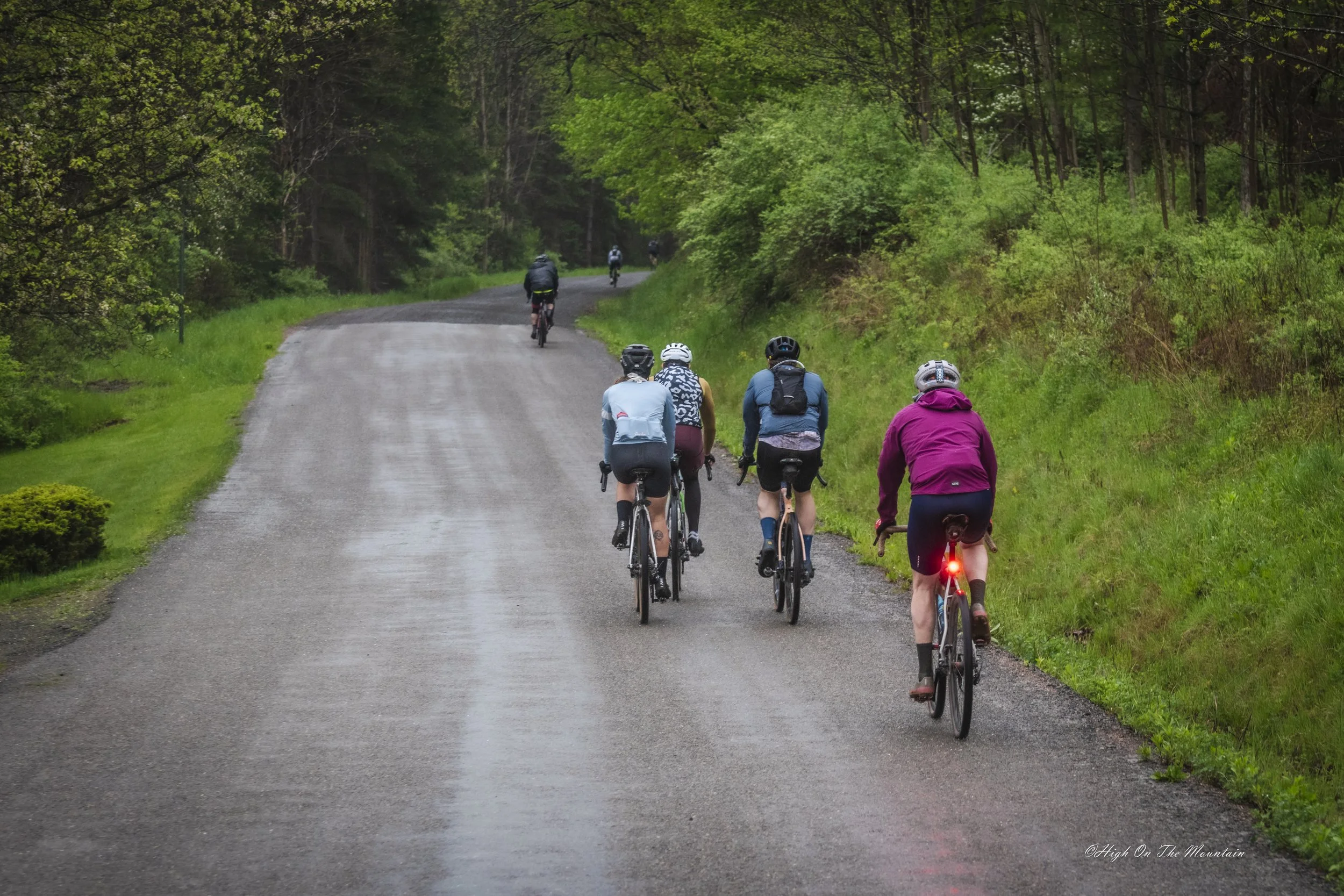 A group of cyclists riding on a forested road surrounded by green trees.