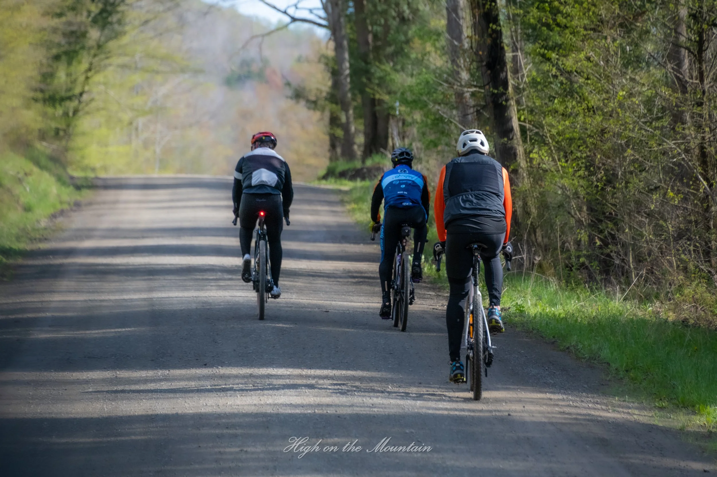 Three cyclists riding bikes on a dirt road through a forested area with trees on both sides.