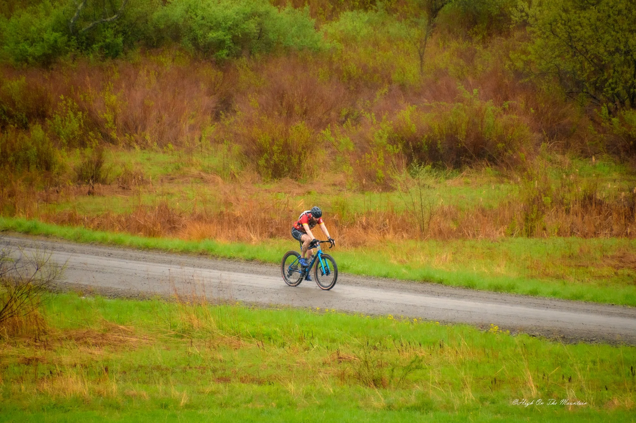 A person riding a bicycle on a gravel path through a lush, green landscape with trees and bushes.