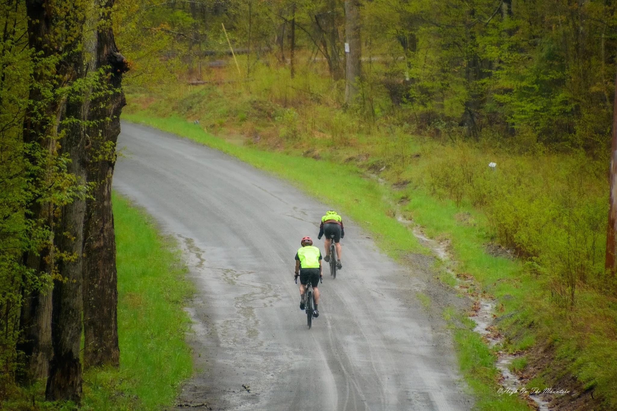 Three cyclists riding on a wet, winding road through a lush, green forested area.