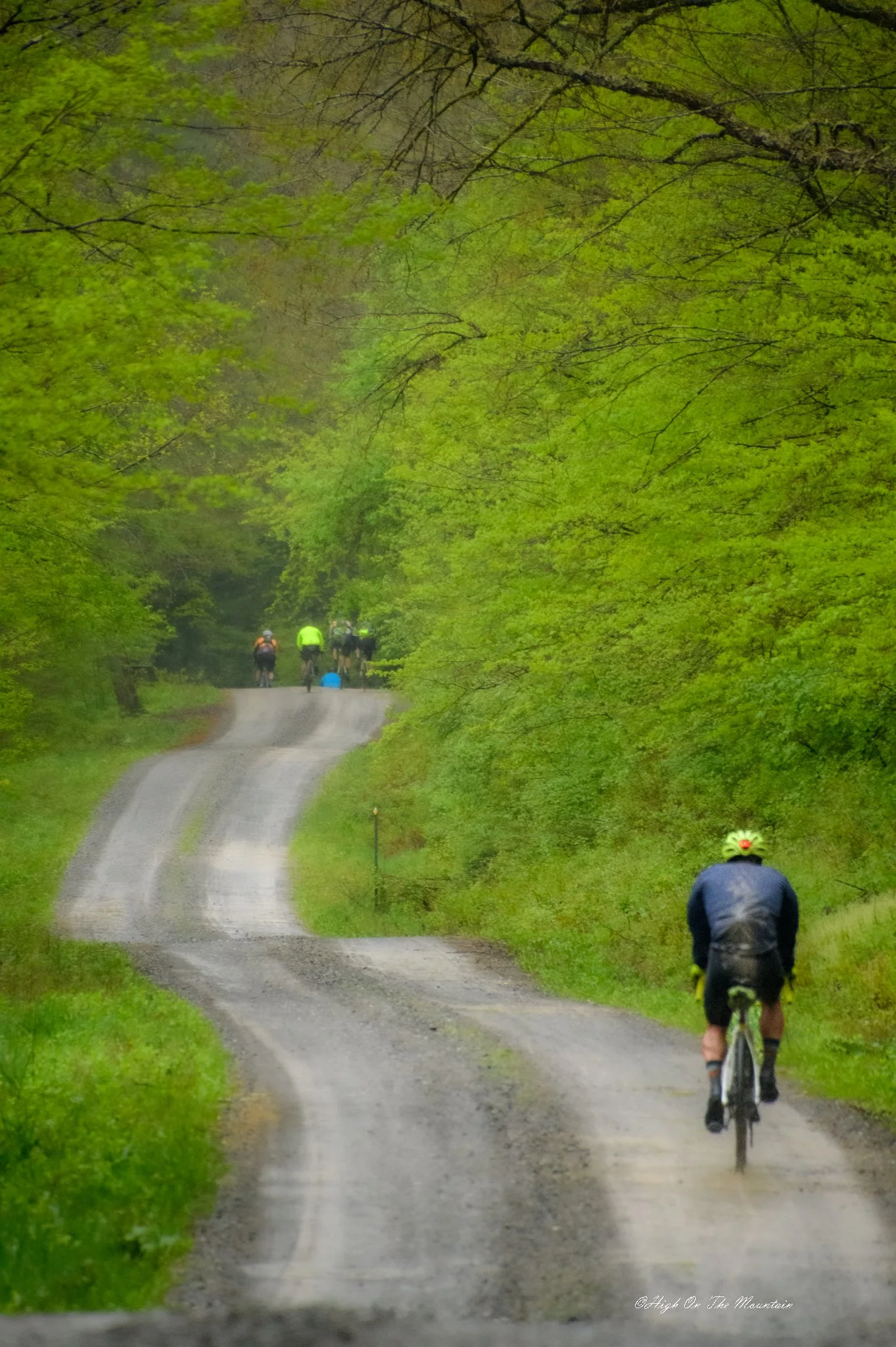 Group of cyclists riding on a winding dirt trail through a lush green forest with dense leafed trees. The trail curves and extends into the distance with a rider in the foreground wearing a helmet and dark clothing.