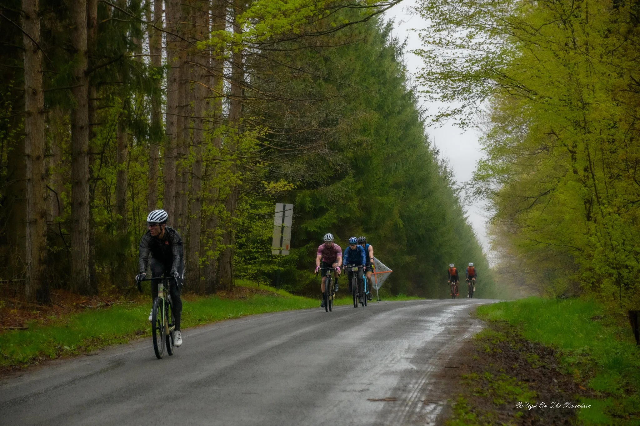A group of cyclists riding on a paved road through a lush green forest with tall trees on either side on a cloudy day.