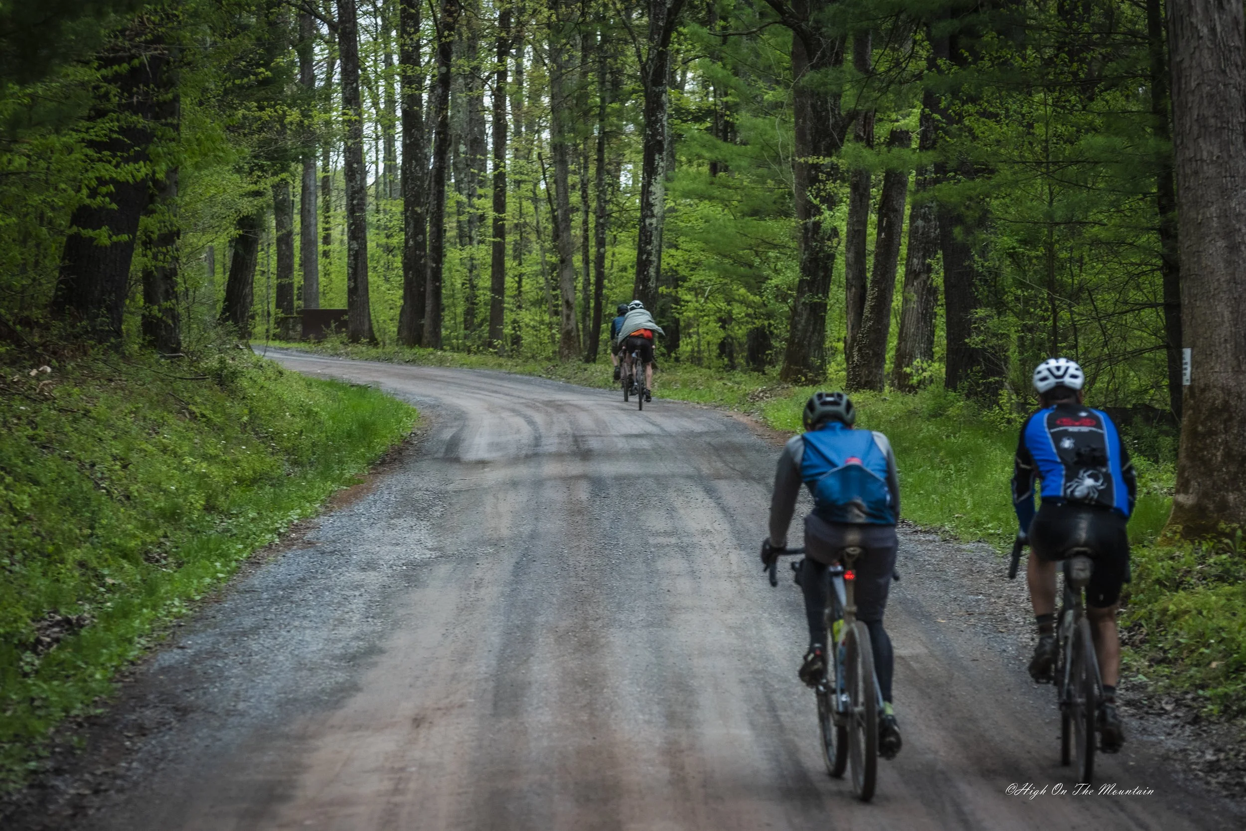 Four cyclists riding mountain bikes along a dirt forest trail surrounded by tall trees with green foliage.