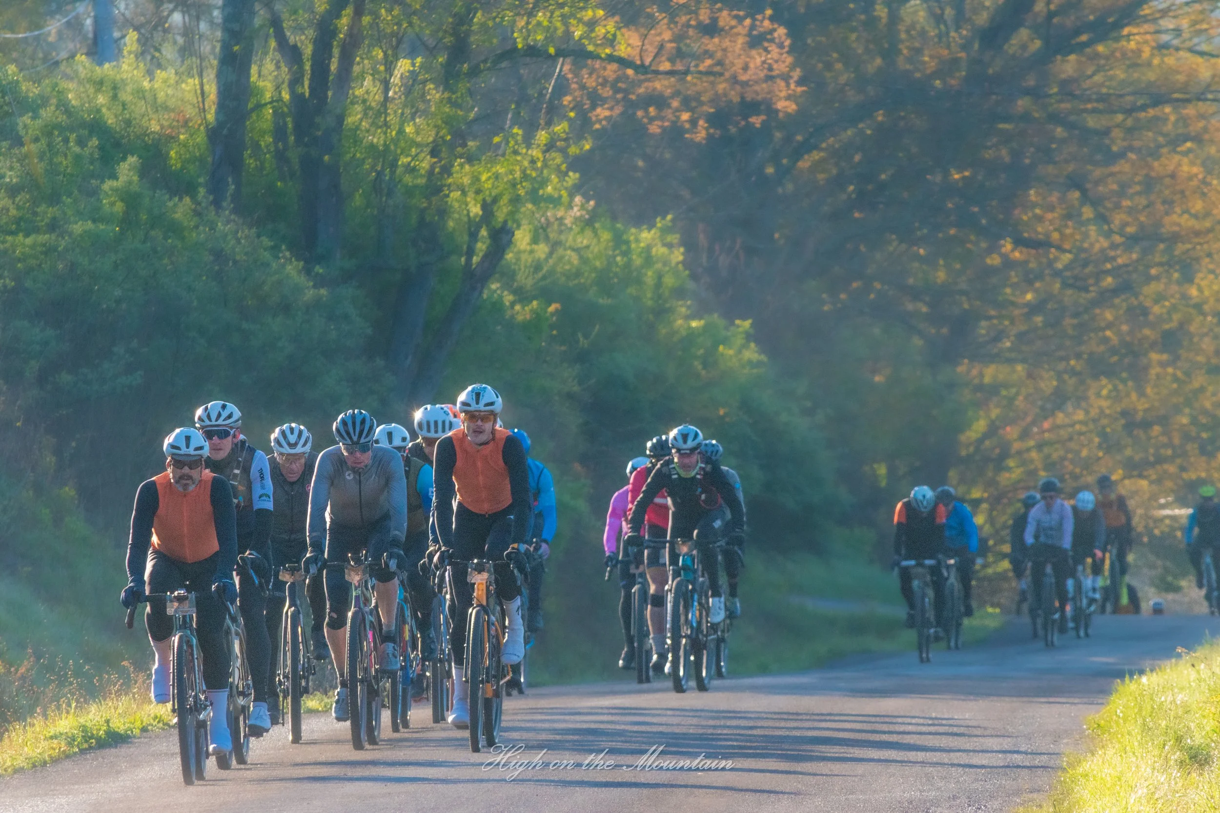A group of cyclists riding on a tree-lined trail during late afternoon or early evening, with sunlight filtering through the leaves.