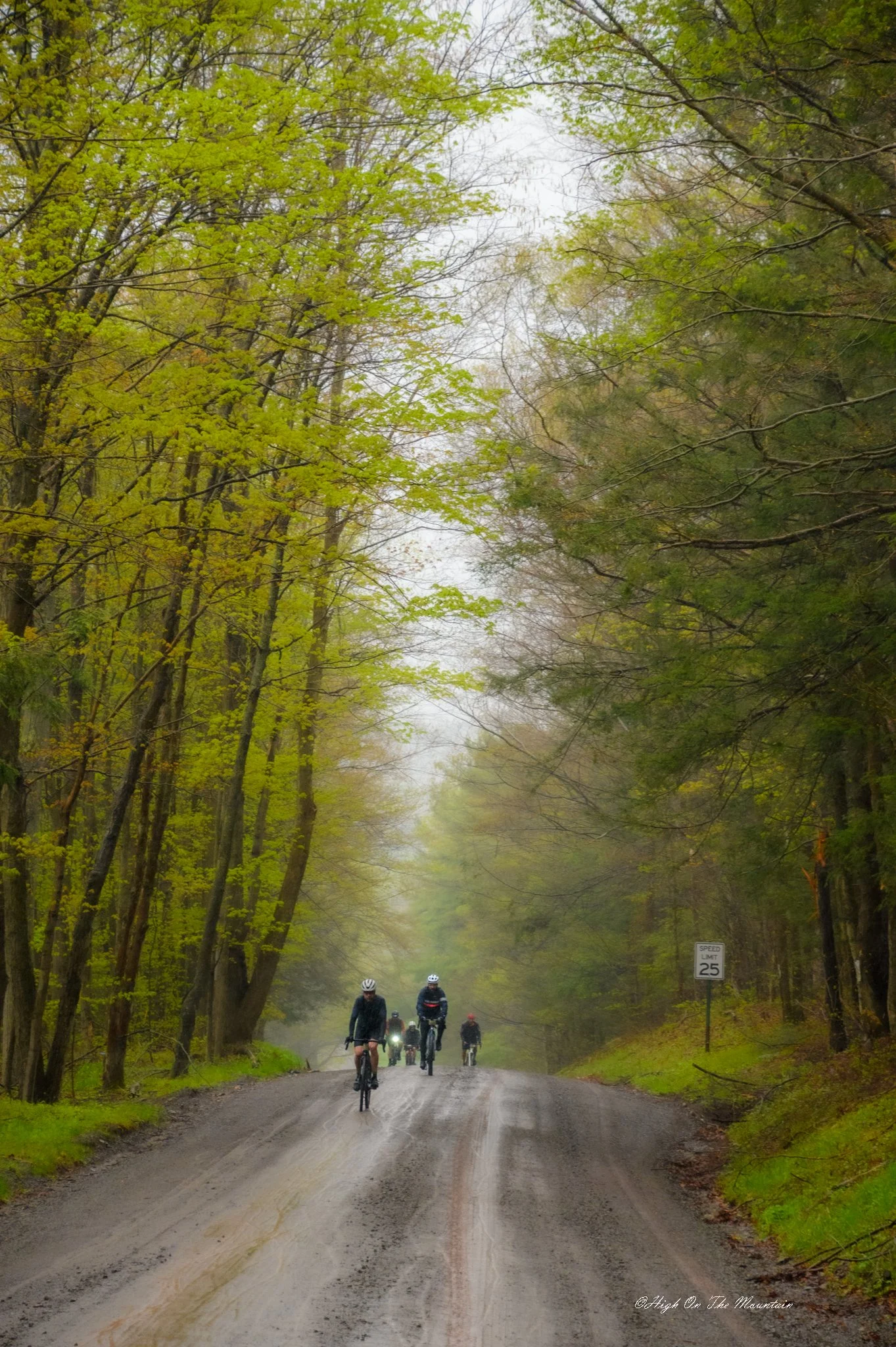 Cyclists riding on a dirt road through a forest with tall trees and green leaves on an overcast day.