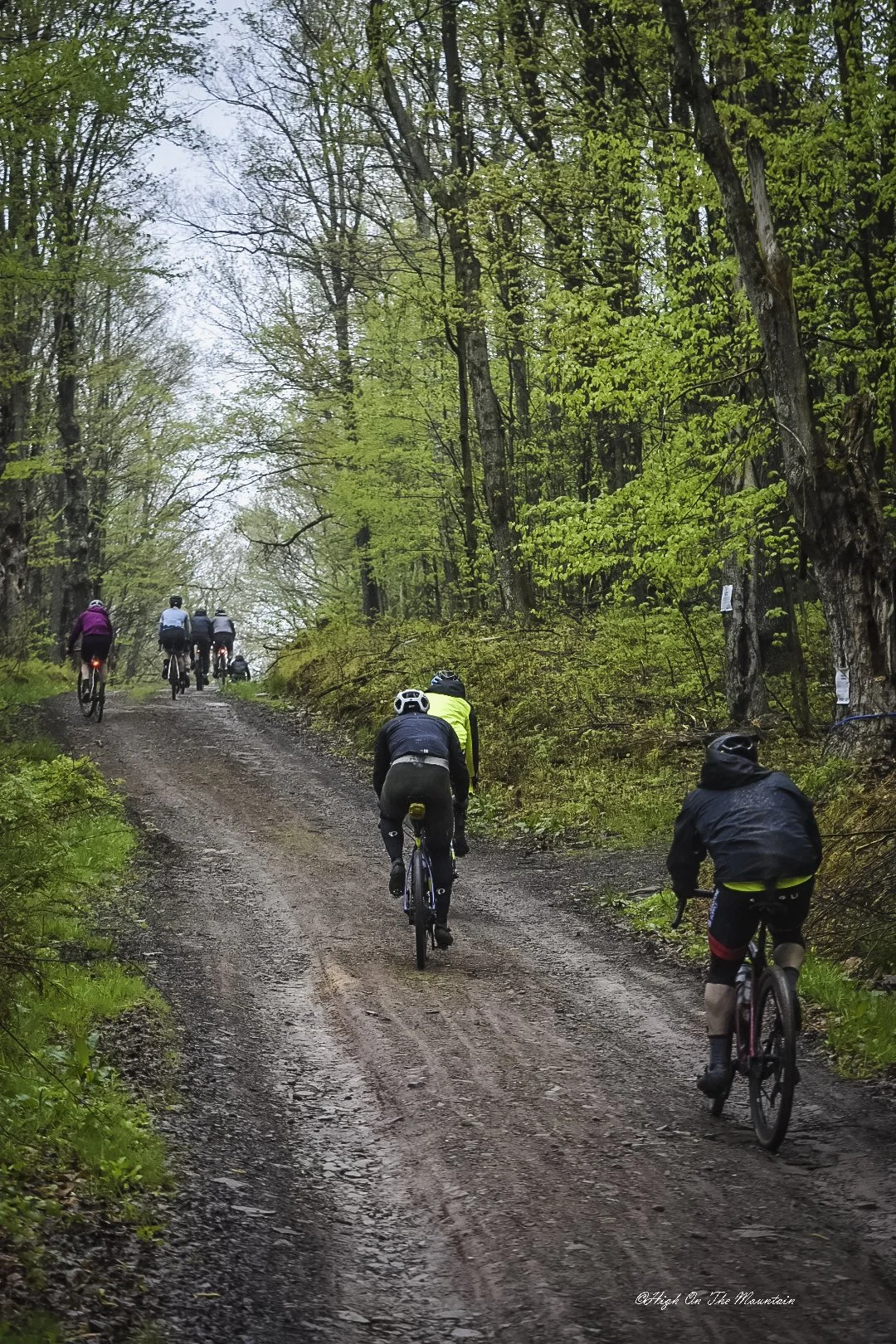 A group of cyclists riding on a muddy, forest trail surrounded by green trees.