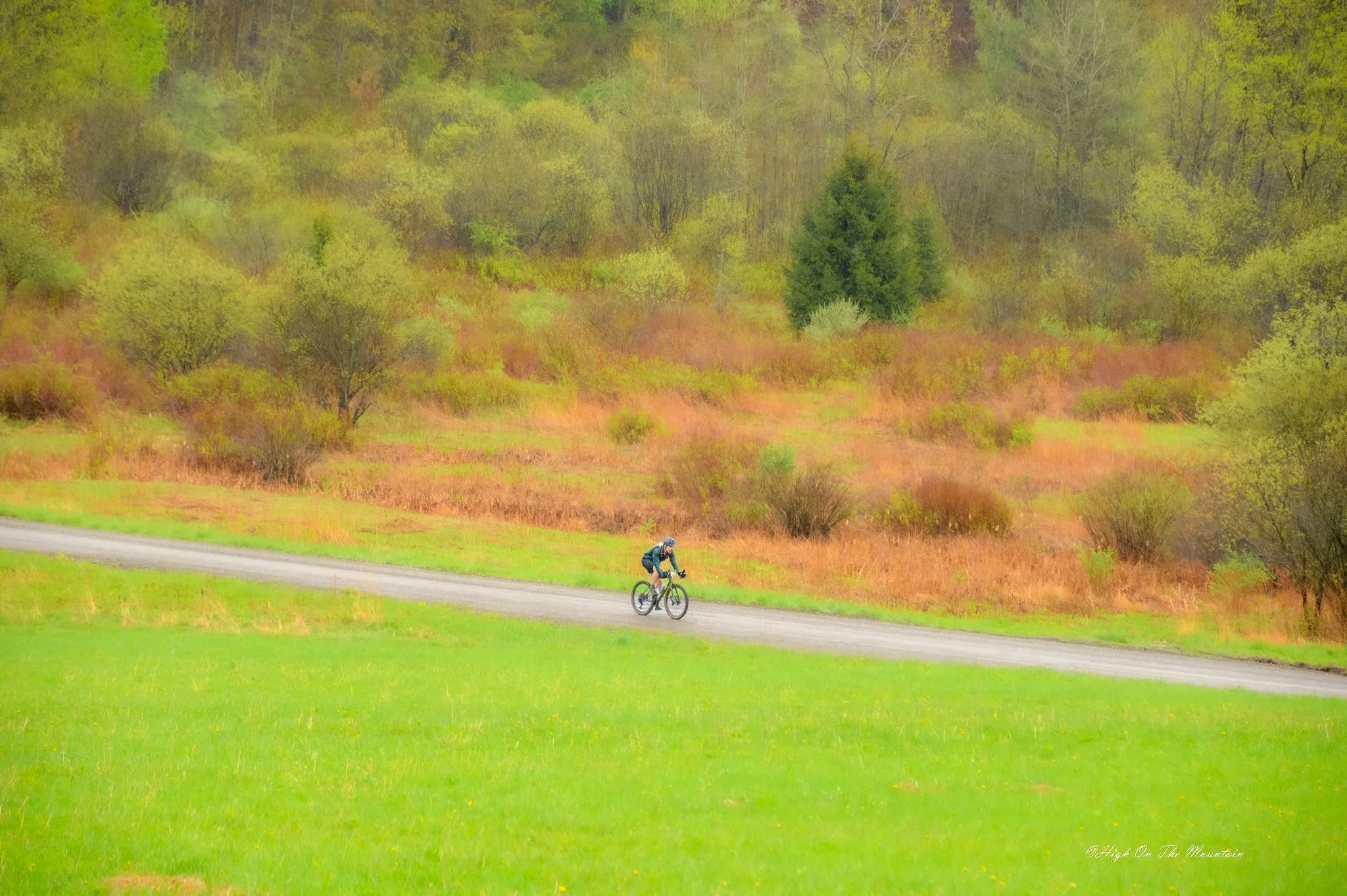 A person riding a bicycle along a winding path through a grassy landscape with colorful trees in the background.